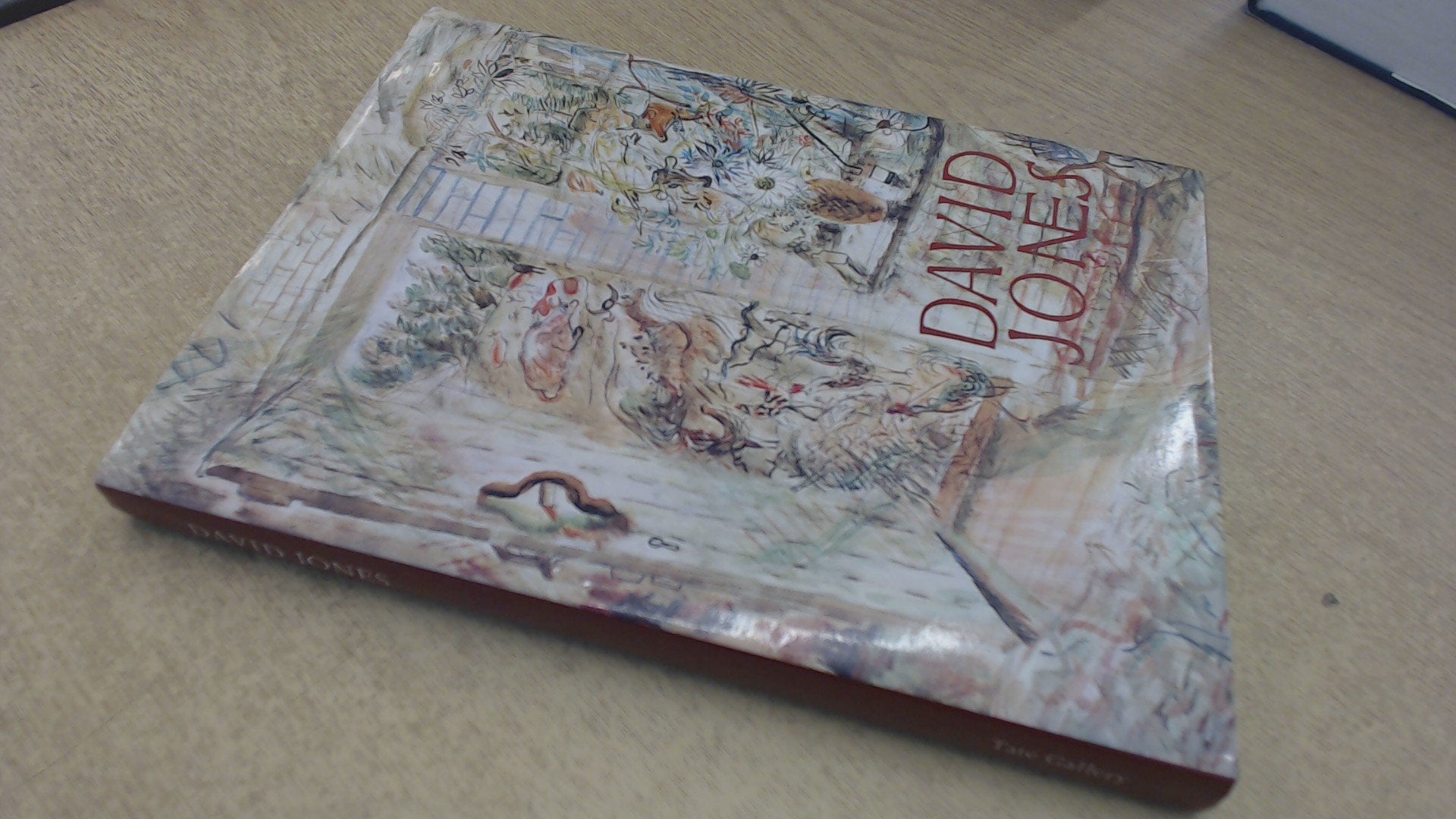 Product Image: David Jones: Catalogue