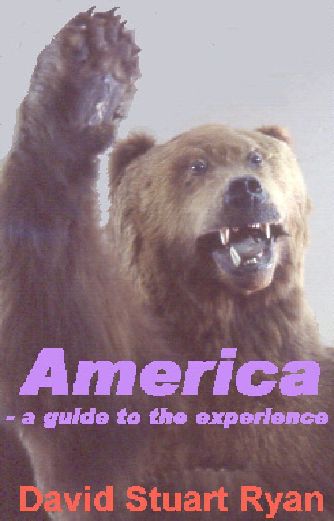 Product Image: America: A Guide to the Experience