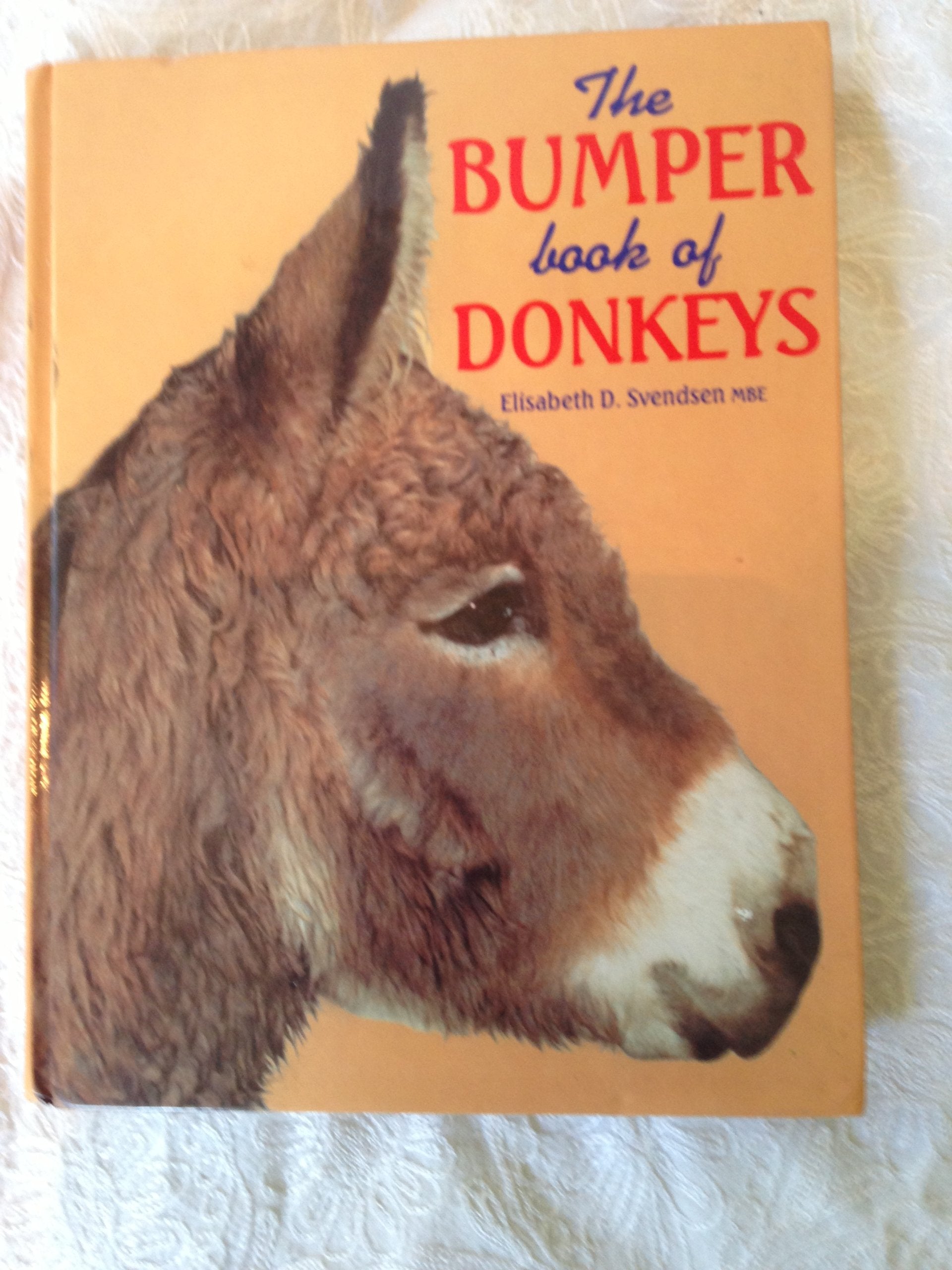 The Bumper Book of Donkeys Mathematics