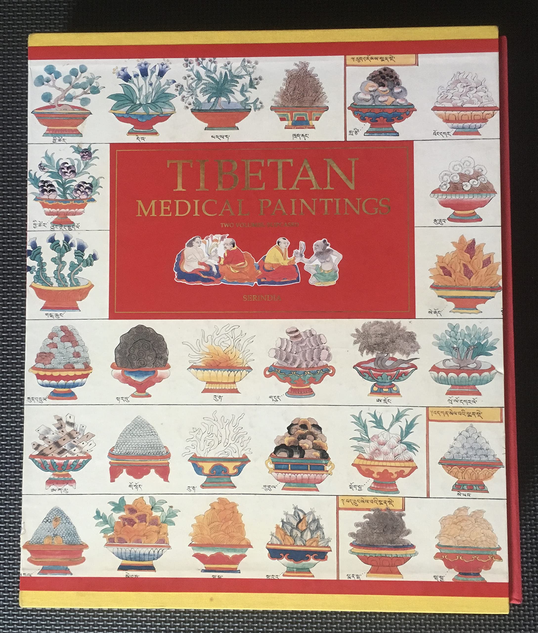 Tibetan Medical Paintings: Illustrations to the "Blue Beryl" Treatise of Sangye Gyamtso (1653-1705) Medicine