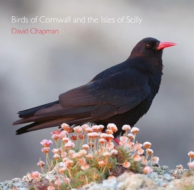 Birds of Cornwall and the Isles of Scilly (Pocket Cornwall) Mathematics