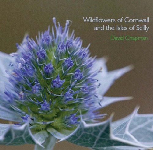 Wildflowers of Cornwall and the Isles of Scilly (Pocket Cornwall) Mathematics
