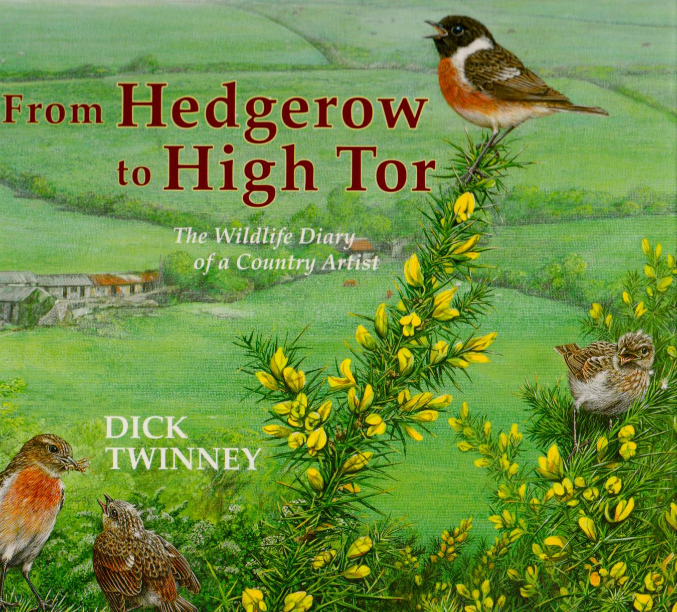 From Hedgerow to High Tor: The Wildlife Diary of a Country Artist Film, Art & Culture