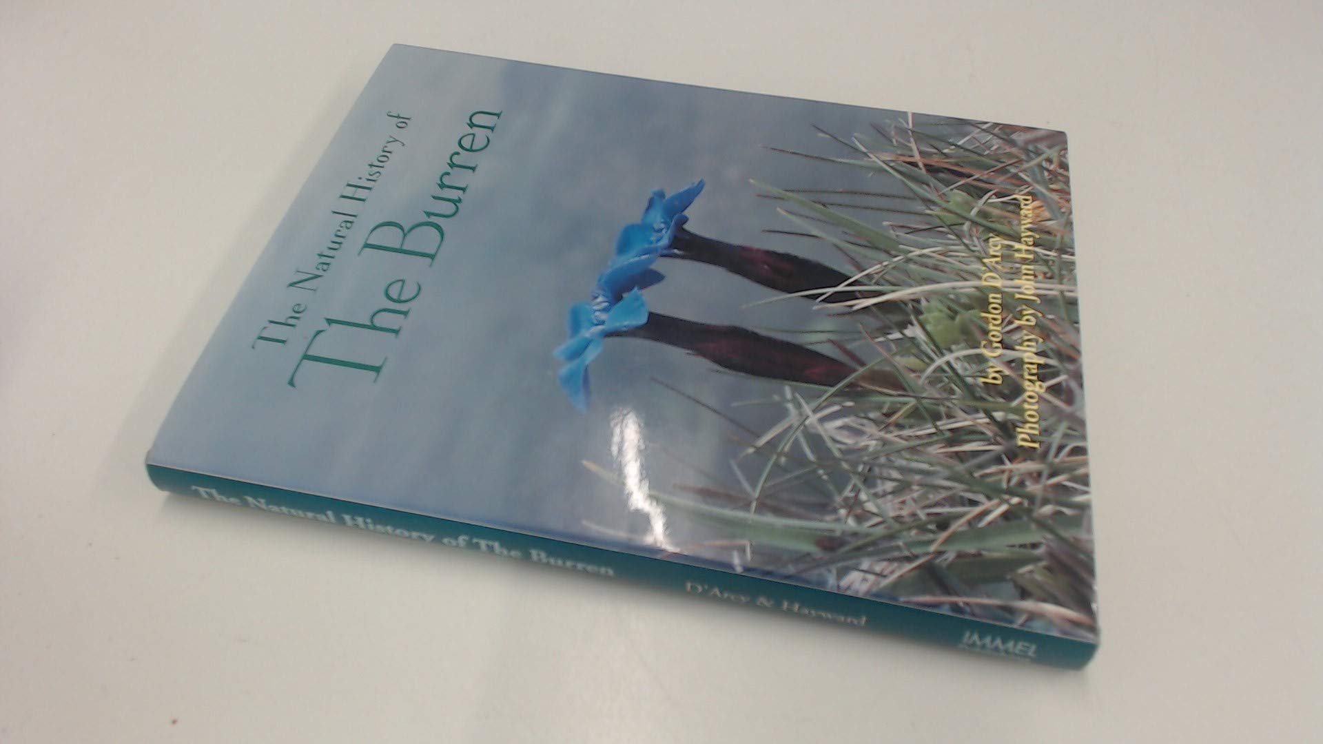 The Natural History of the Burren Mathematics