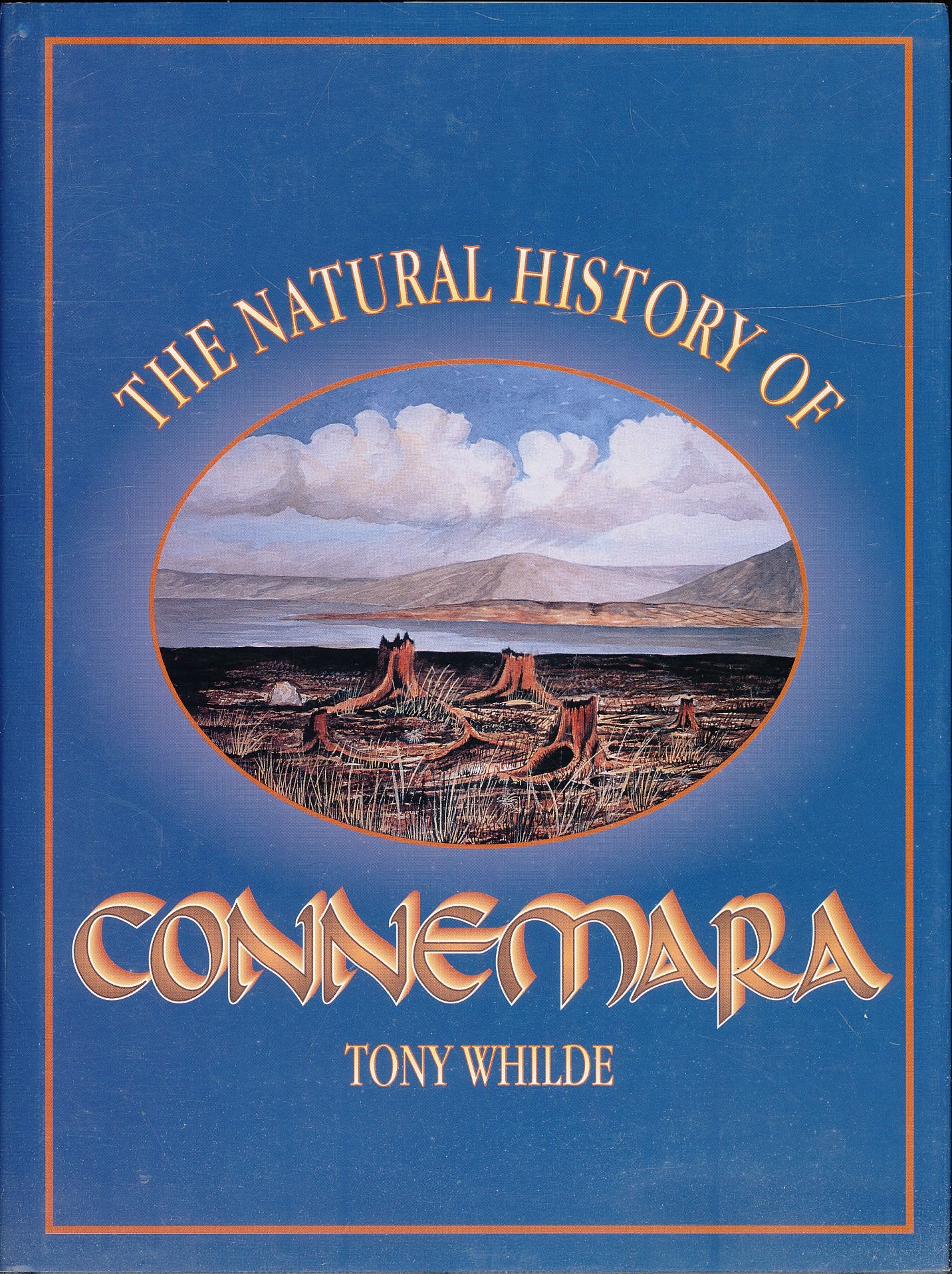 The Natural History of Connemara Mathematics