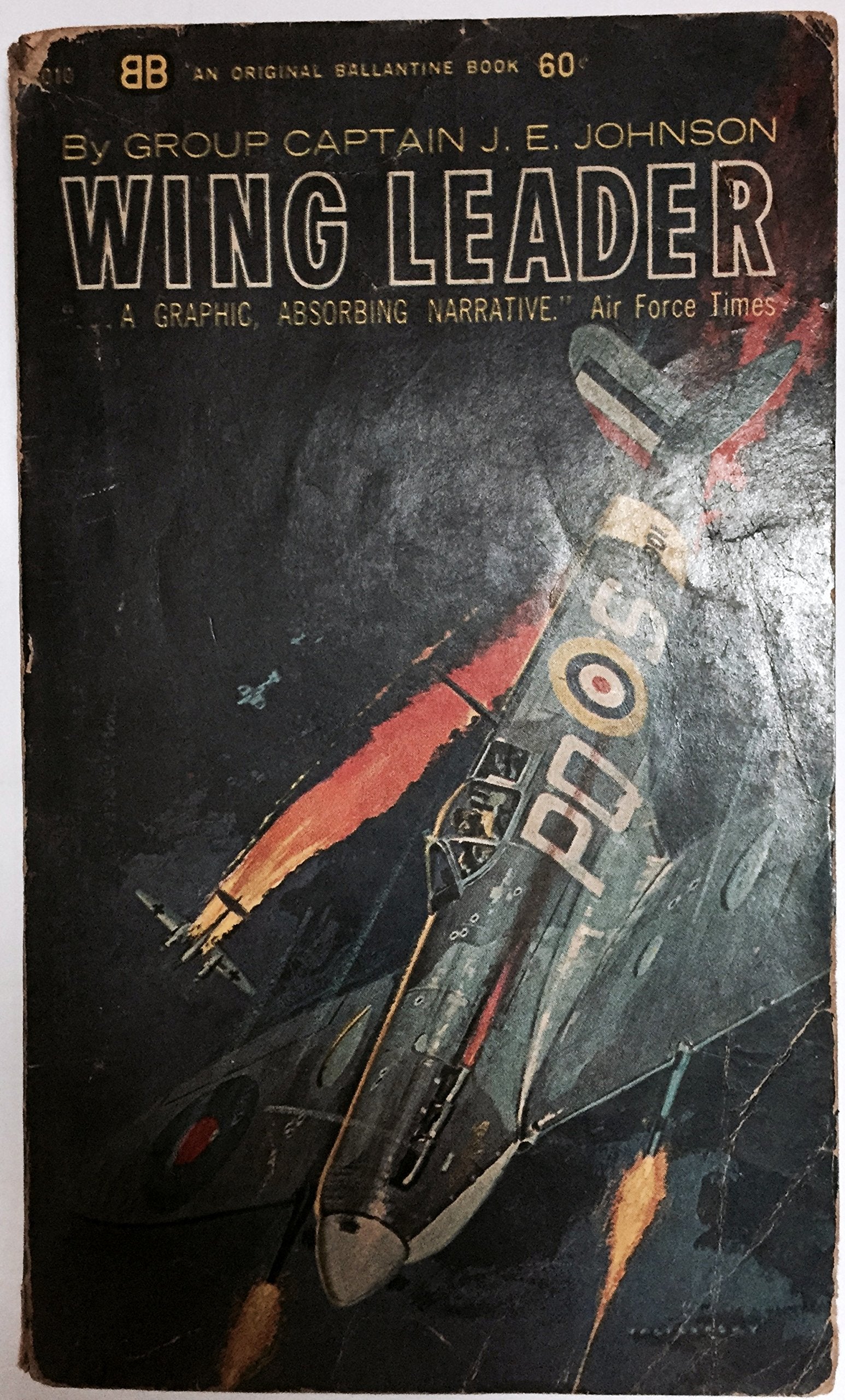 Wing Leader: Top-scoring Allied Fighter Pilot of World War Two: The Top Scoring Allied Fighter Pilot of Wwii (Fighter Pilots) Social Sciences