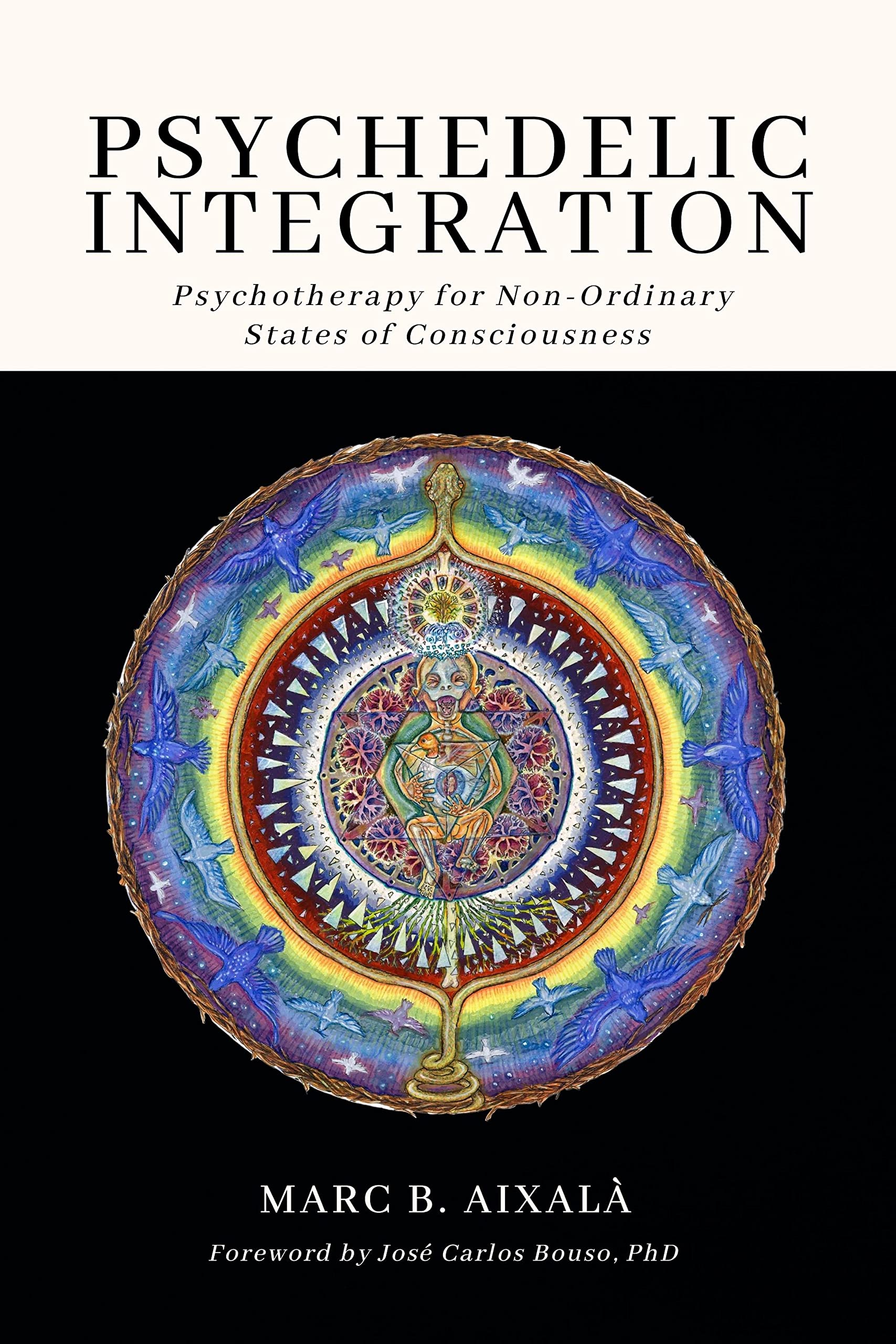 Psychedelic Integration Psychology