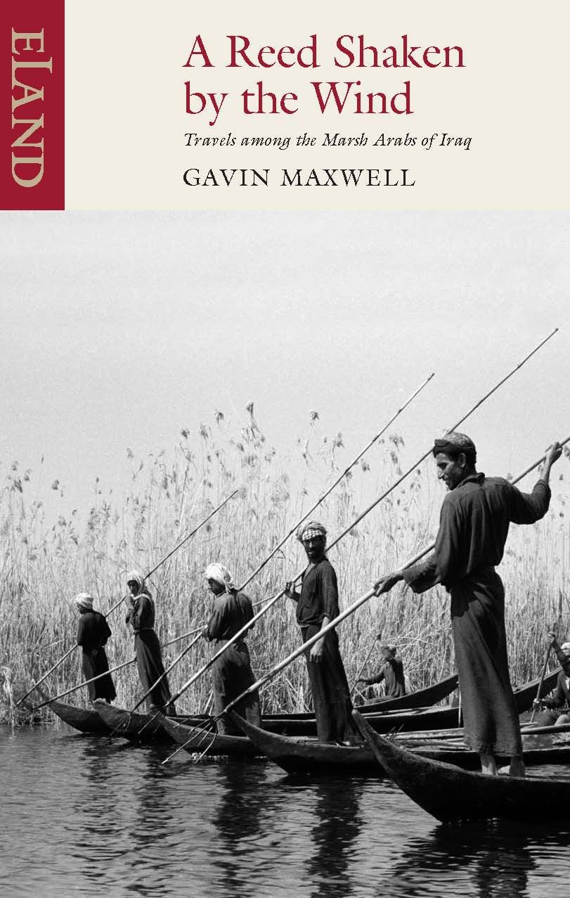 A Reed Shaken by the Wind: Travels Among the Marsh Arabs of Iraq Social Sciences