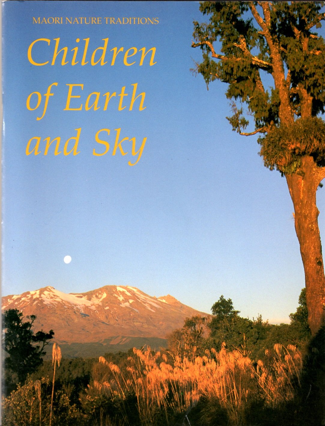 Children of earth and sky (Maori nature traditions) Books