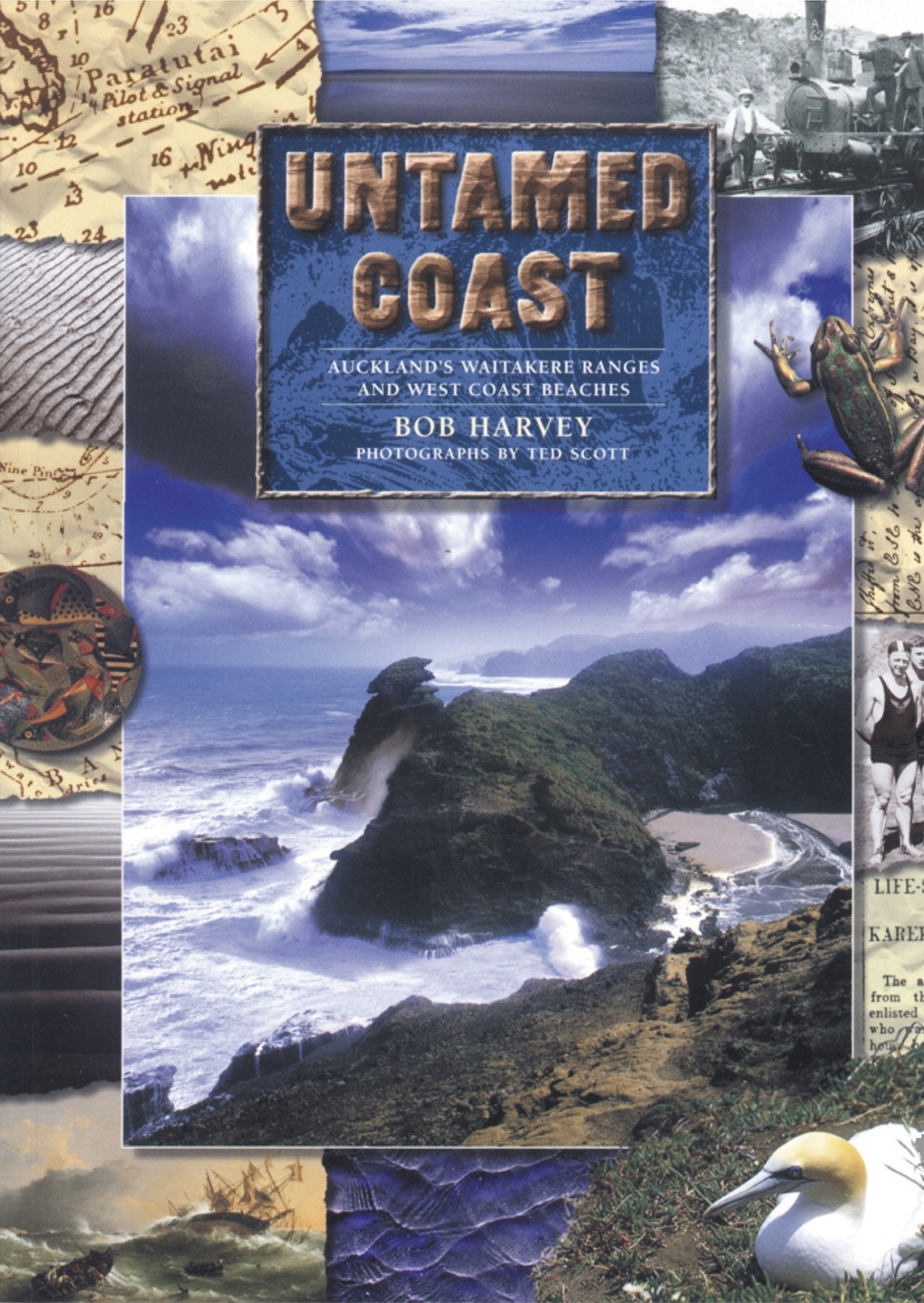 Untamed Coast: Auckland's Waitakere Ranges and West Coast Beaches (New Zealand behind the postcards) Books