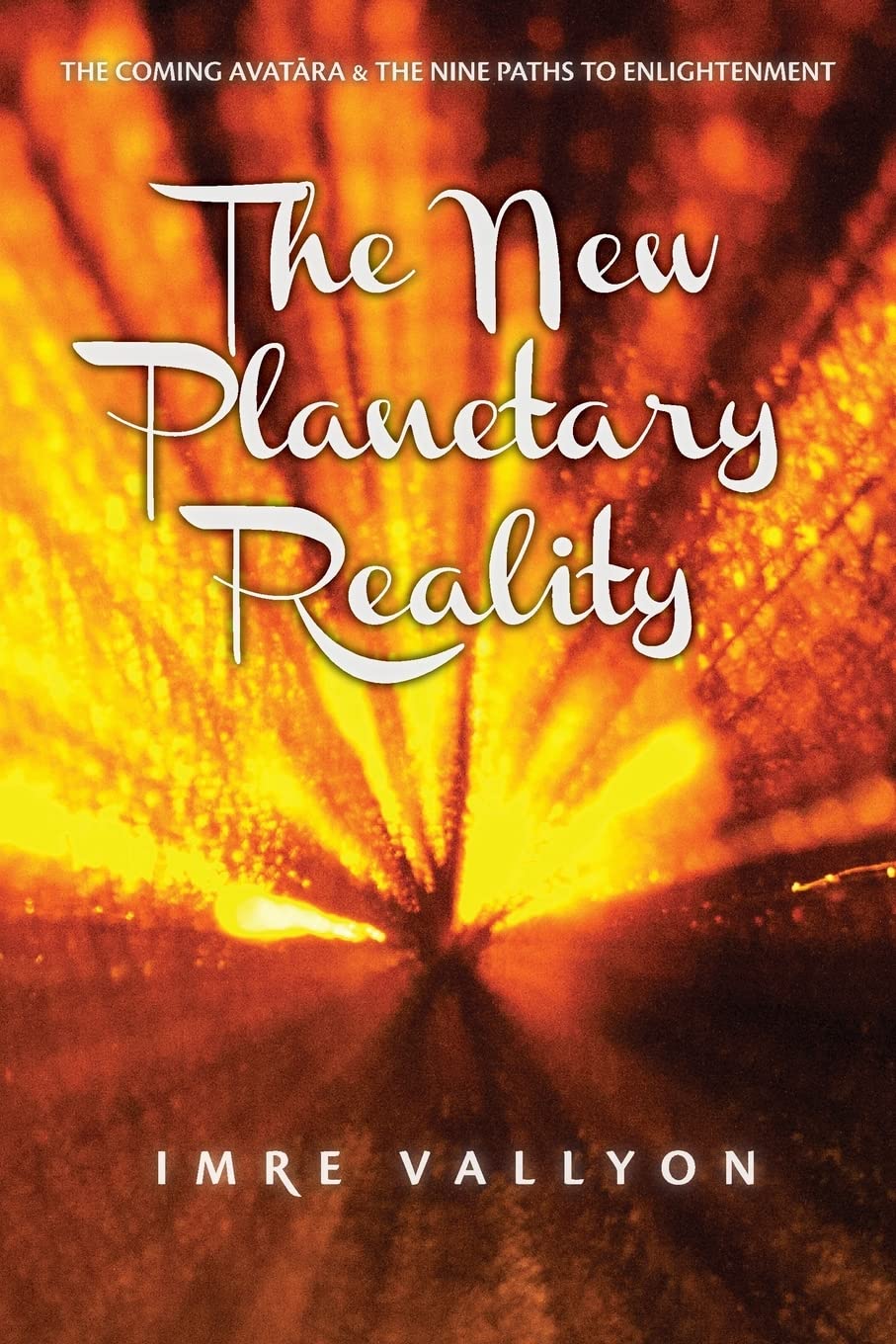 The New Planetary Reality: The Coming Avatara & the Nine Paths to Enlightenment Business, Finance & Career