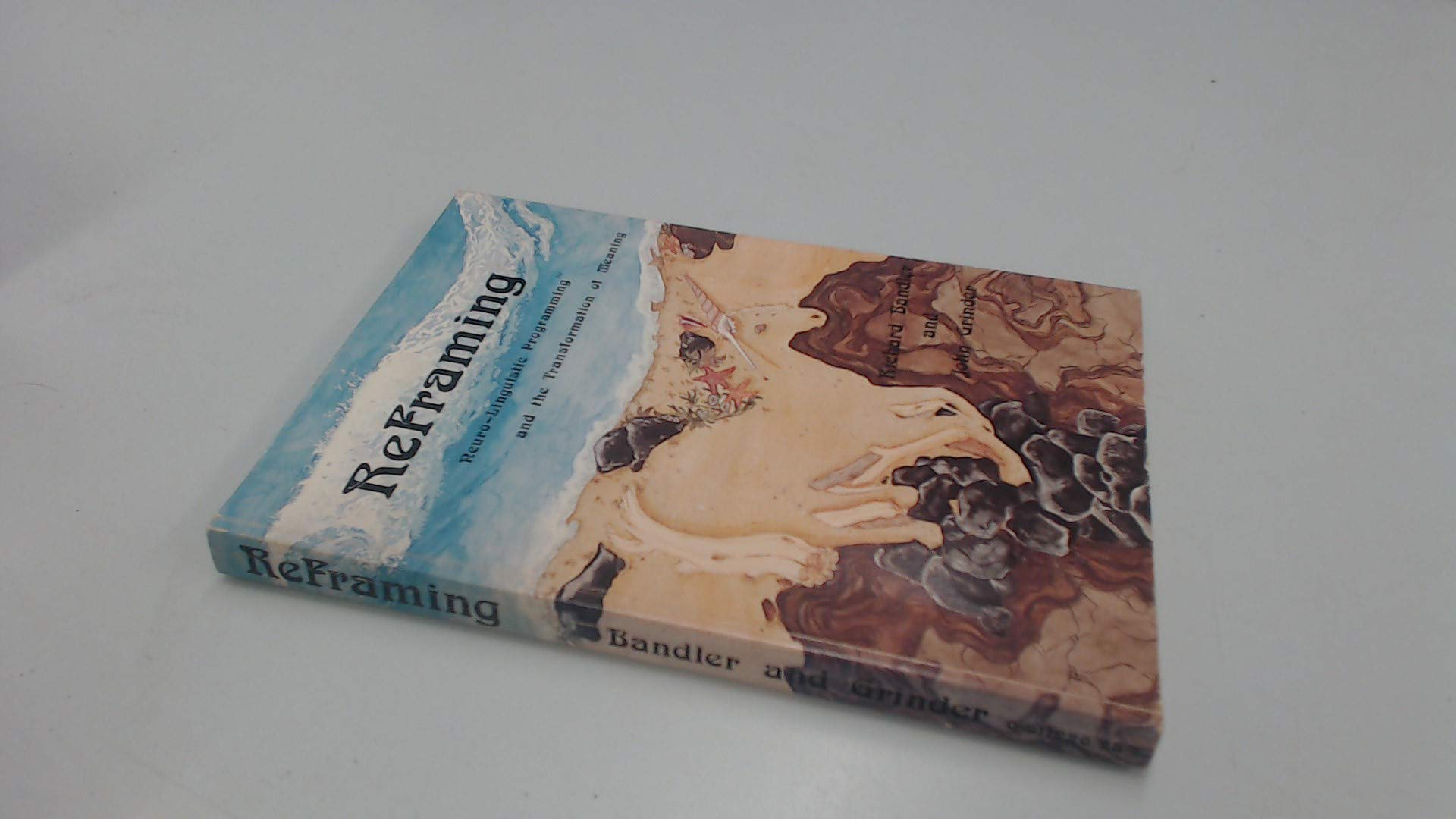 Reframing: Neuro-Linguistic Programming and the Transformation of Meaning Lifestyle