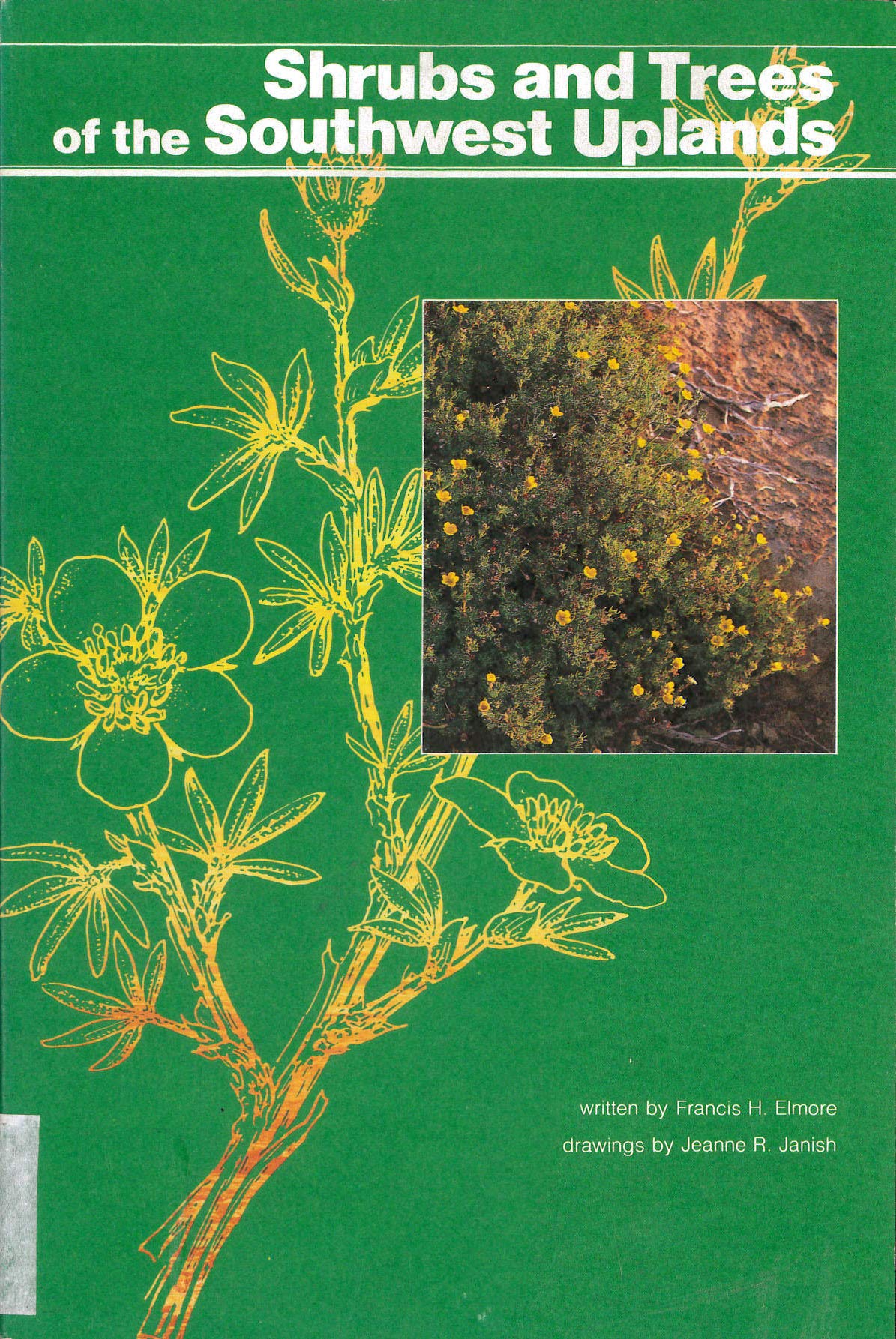 Shrubs and Trees of the Southwest Uplands Garden & Plants