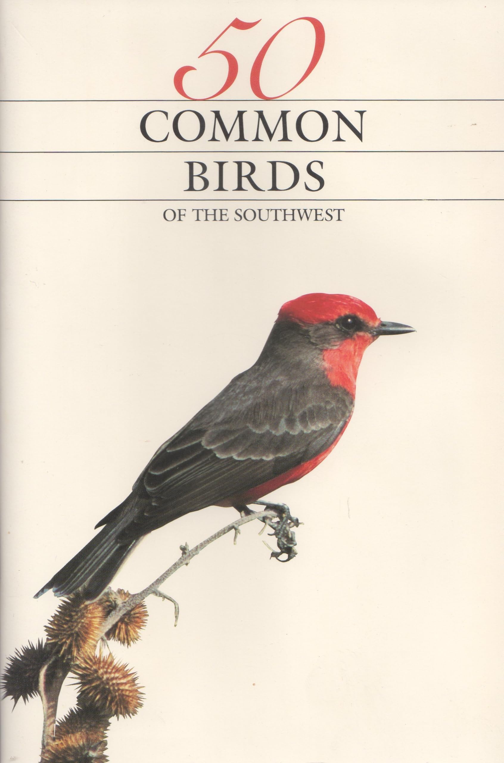 50 Common Birds of the Southwest Mathematics