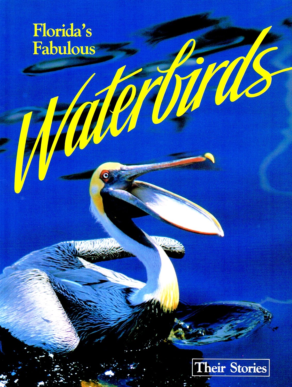 Florida's Fabulous Waterbirds: Their Stories Mathematics