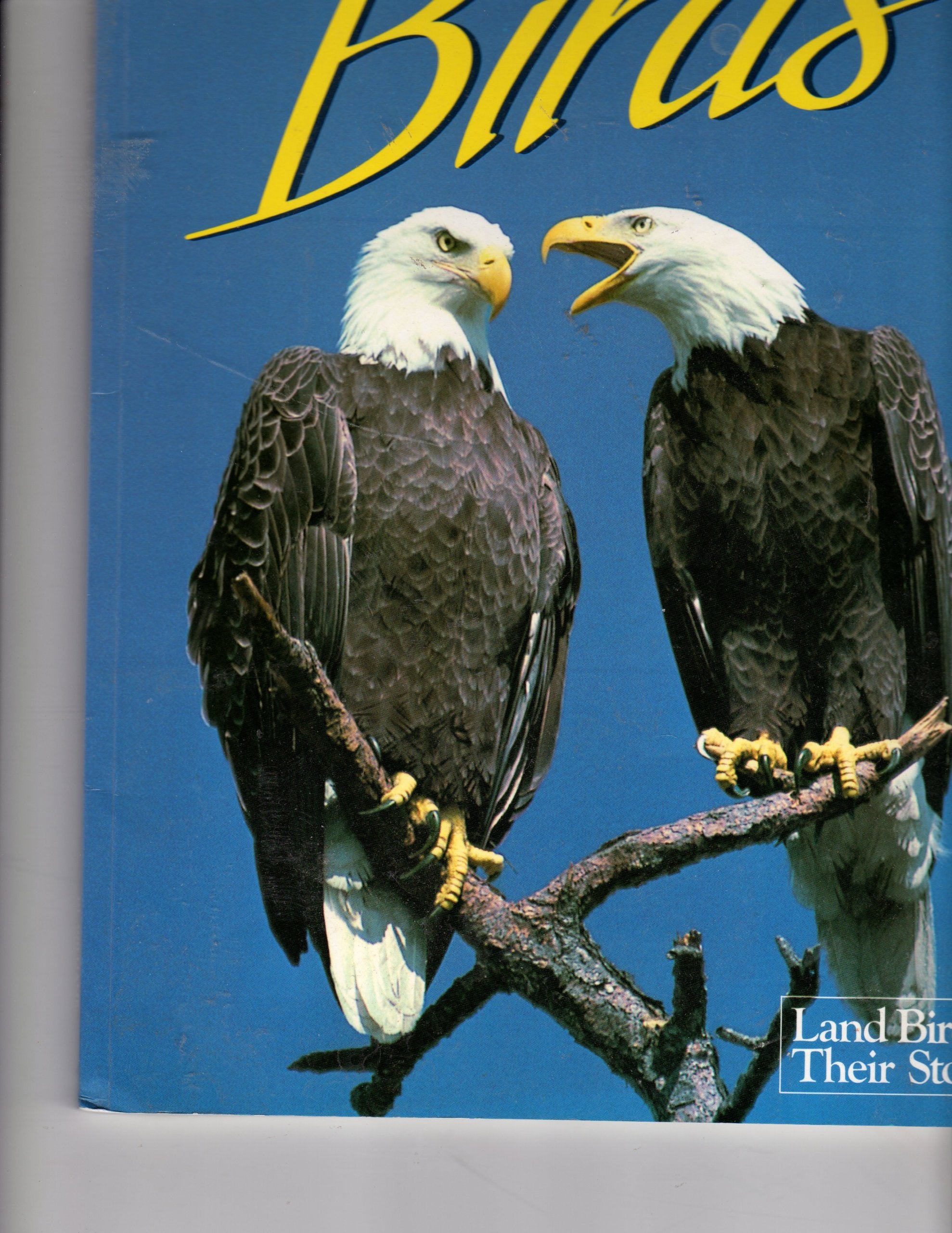 Florida's Fabulous Birds: Land Birds: Their Stories Mathematics