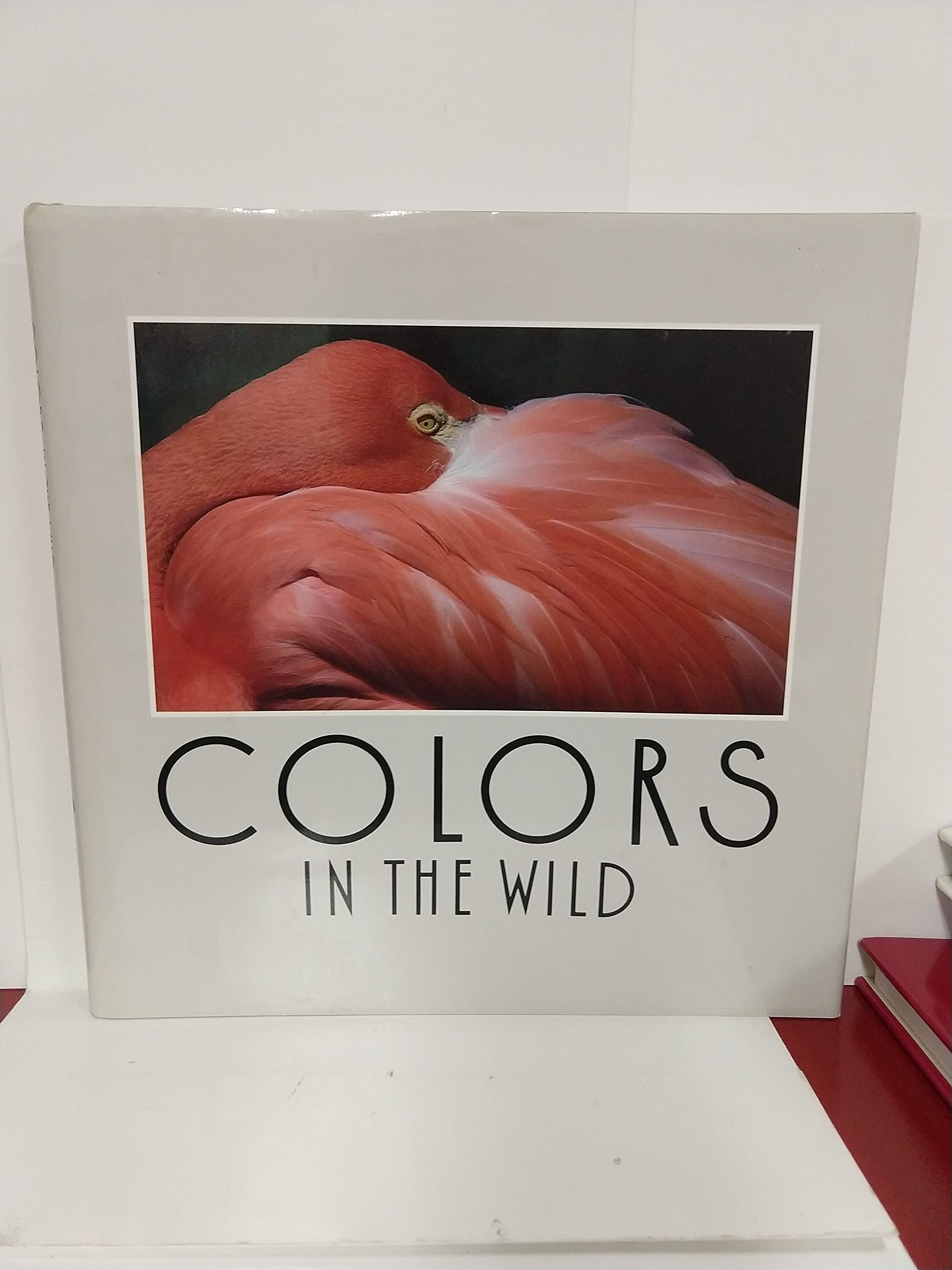 Colors in the Wild book