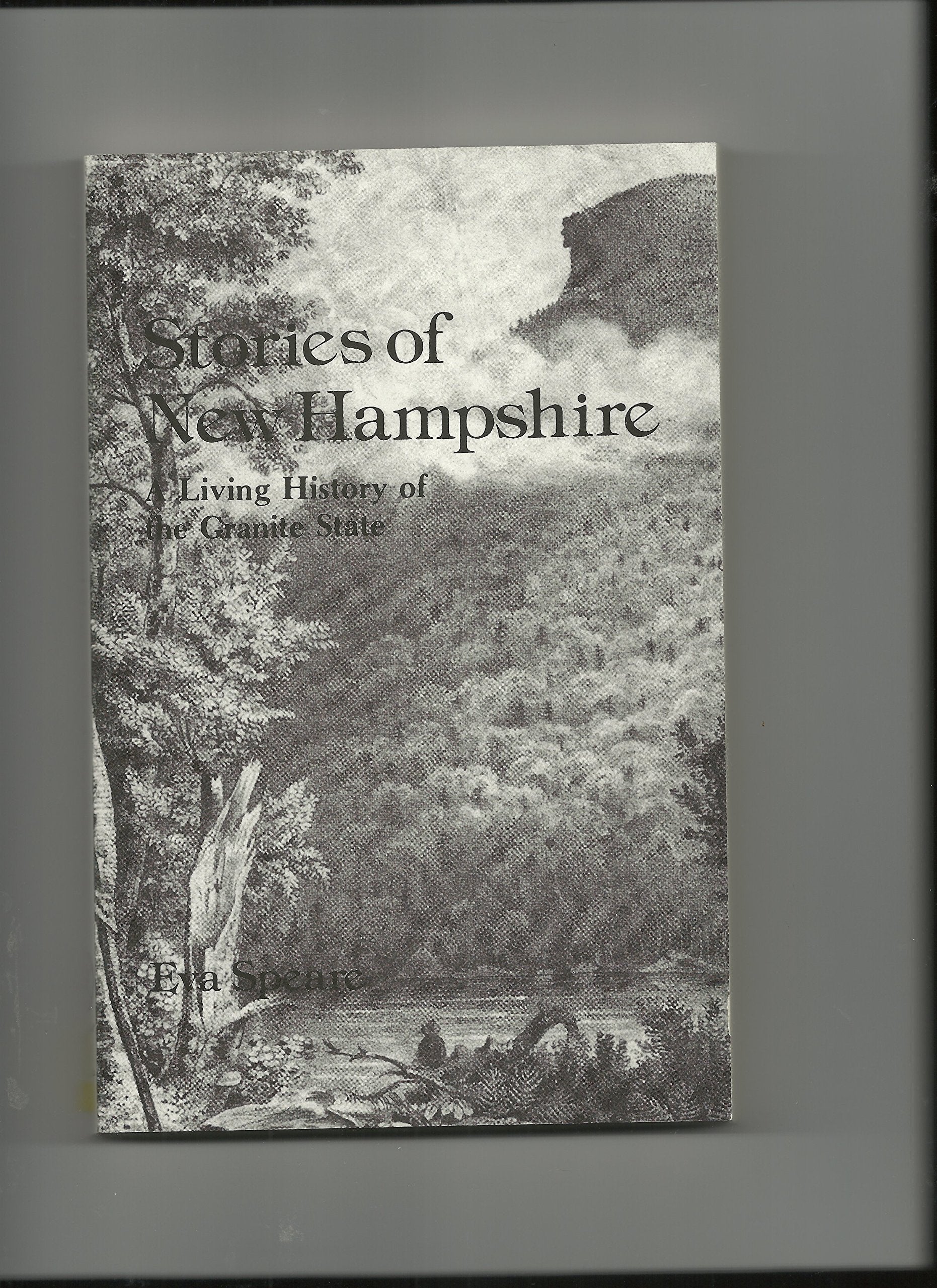 Stories of New Hampshire: Living History of the Granite State Books