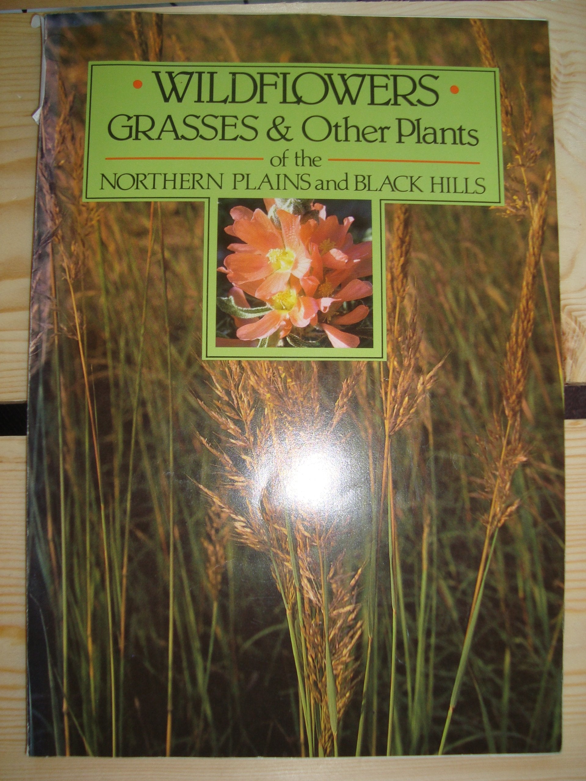 Wildflowers Grasses and Other Plants of the Northern Plains and Black Hills book