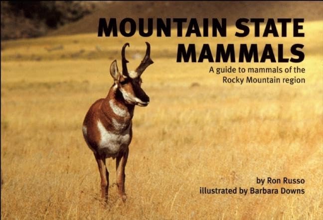 The Mountain State Mammals: The Infinite Possibilities of a Balanced Brain: A Guide to Mammals of the Rocky Mountain Region (Nature Study Guides) Mathematics
