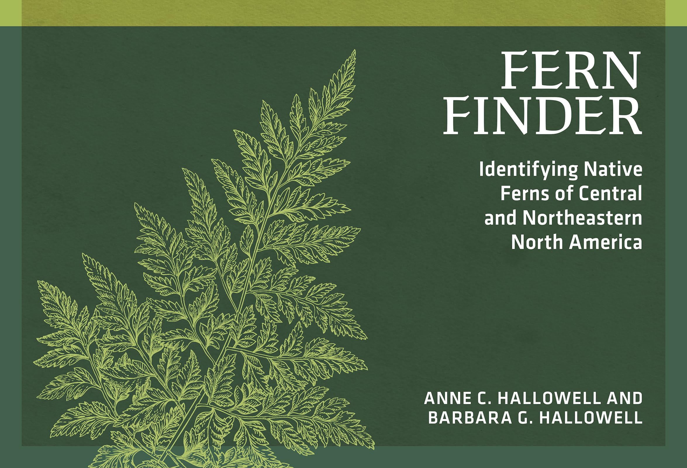 Fern Finder Mathematics