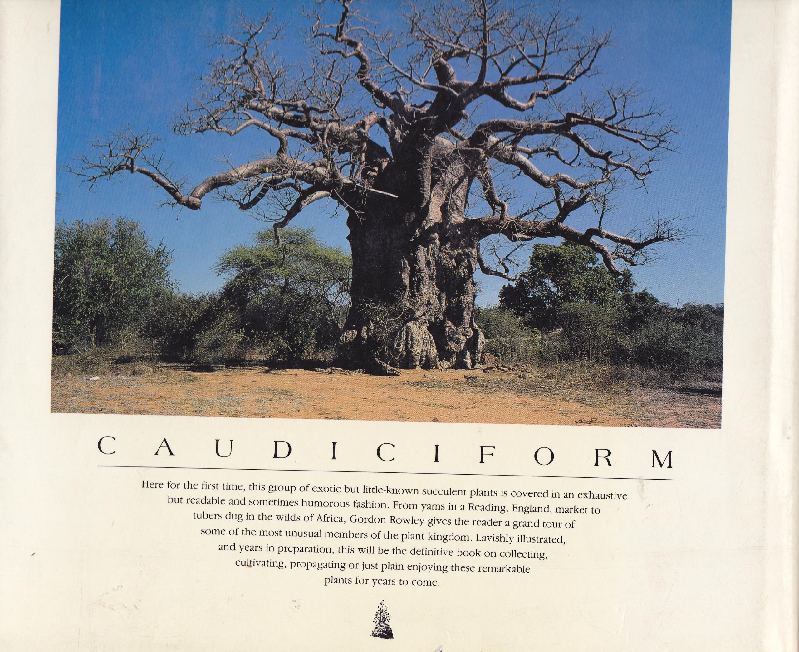 Caudiciform and Pachycaul Succulents: Pachycauls, Bottle-,Barrel-And Elephant-Trees and Their Kin a Collector's Miscellany Garden & Plants
