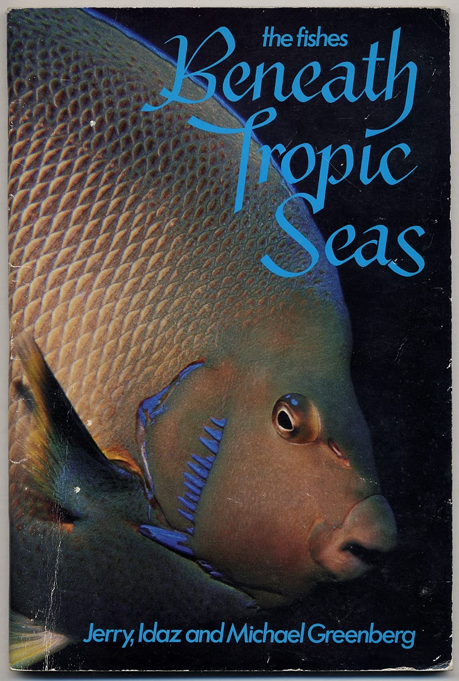 The Fishes Beneath Tropic Seas Business & Technology