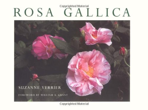 Rosa Gallica: The French Roses Garden & Plants