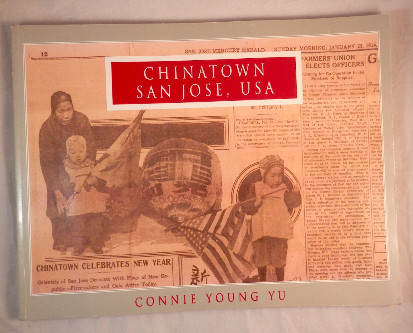 Chinatown San Jose, USA by Connie Young Yu book