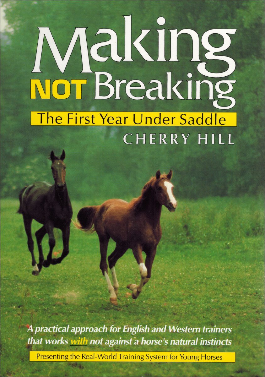 Making, Not Breaking: The First Year Under Saddle Mathematics