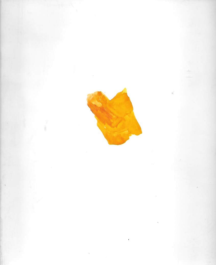 Roni Horn: The Museum of Contemporary Art, Los Angeles Photography