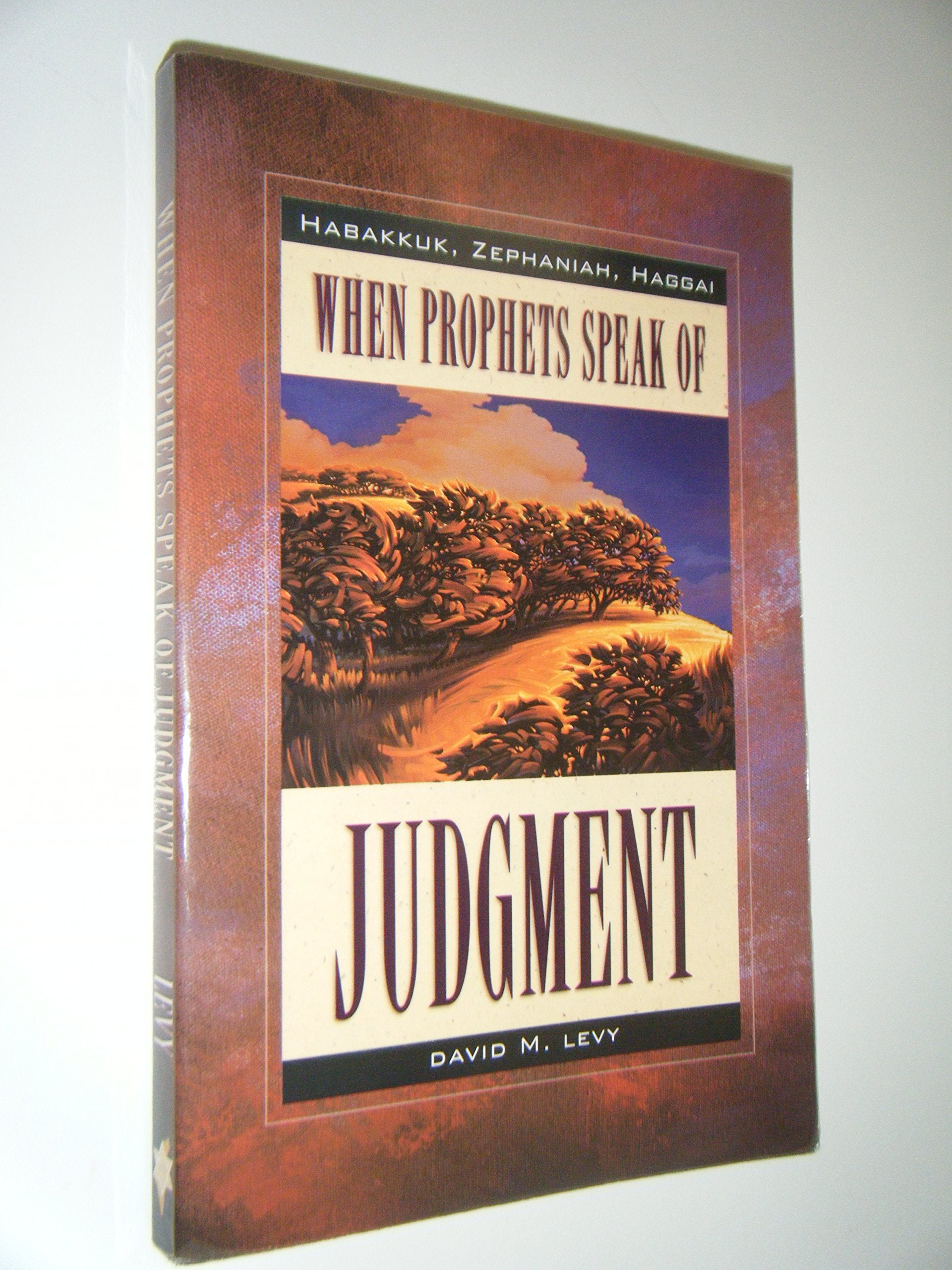When Prophets Speak of Judgement: Habakkuk, Zephaniah, Haggai book