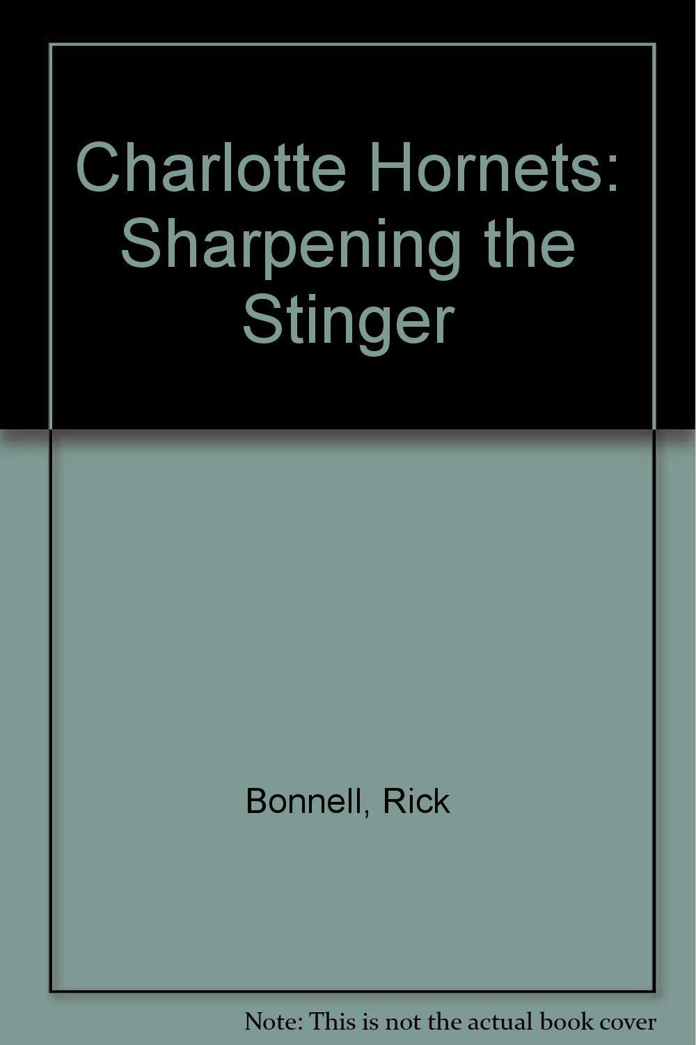 Charlotte Hornets: Sharpening the Stinger Leisure & Fun