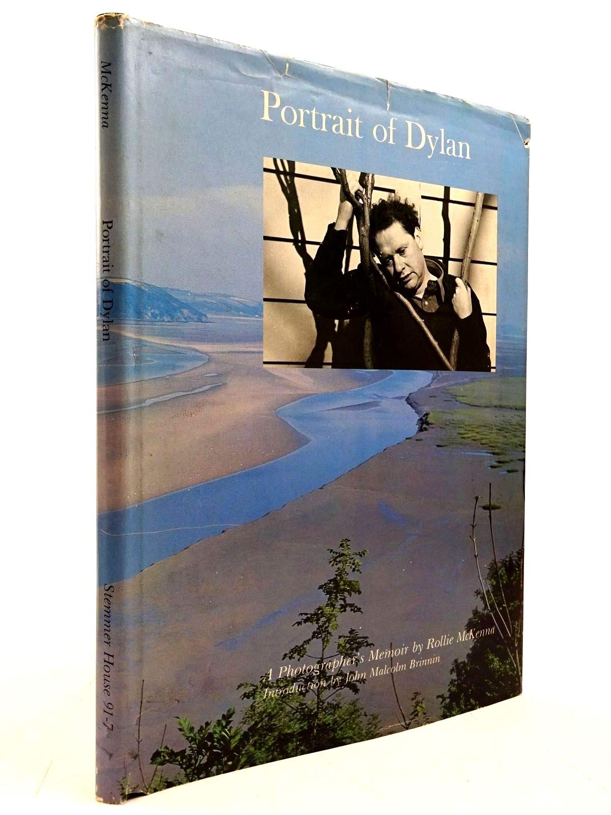 Portrait of Dylan: A Photographer's Memoir Memories