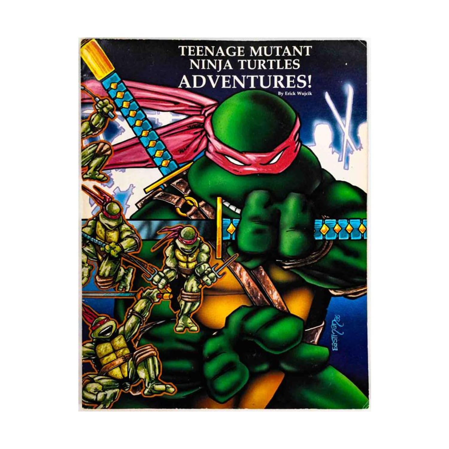 Teenage Mutant Ninja Turtles Adventures Books