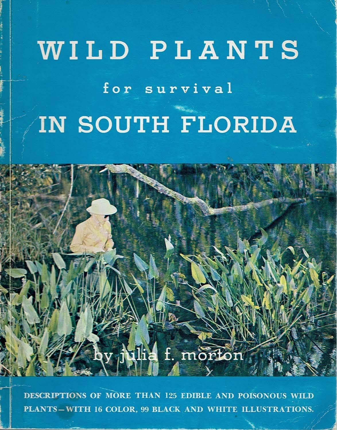 Wild plants for survival in south Florida Books