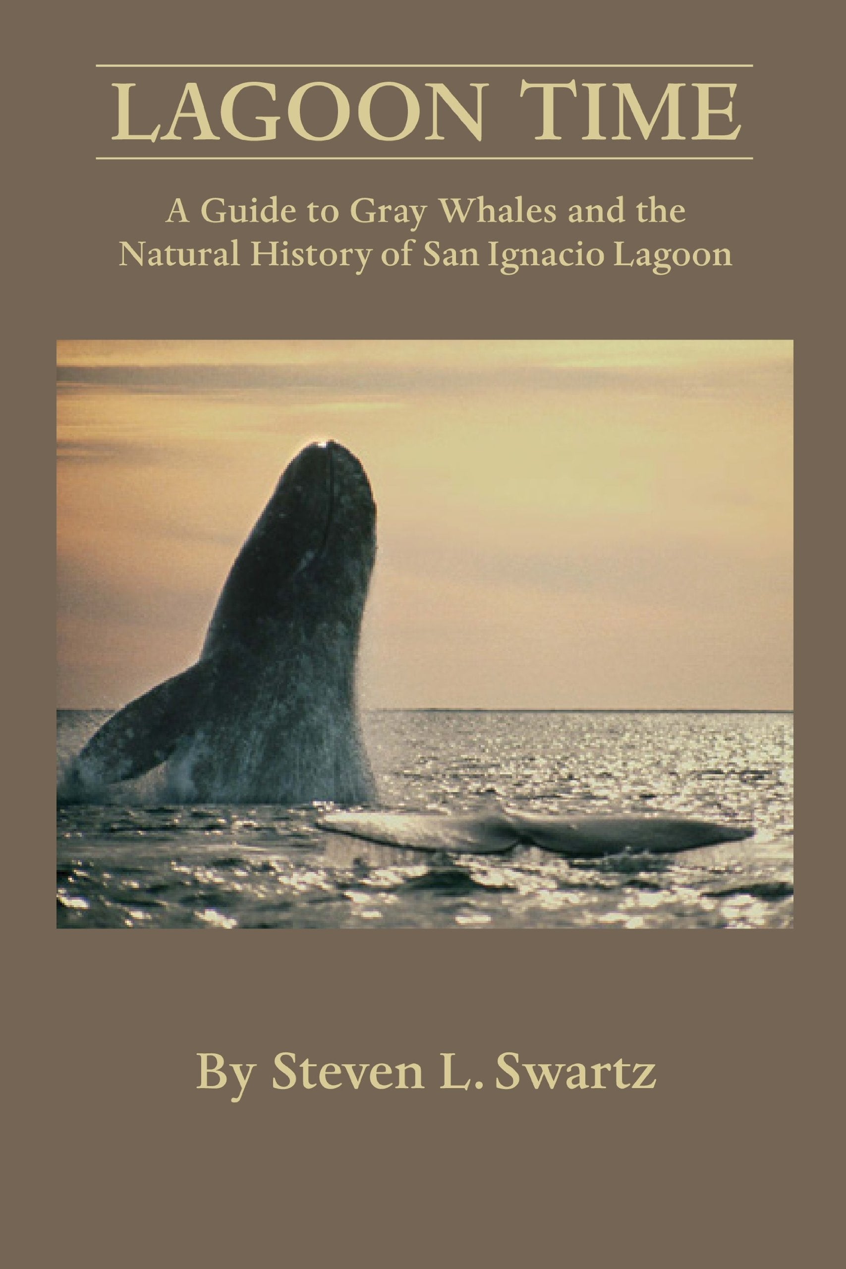 Lagoon Time: A Guide to Grey Whales and the Natural History of San Ignacio Lagoon Mathematics