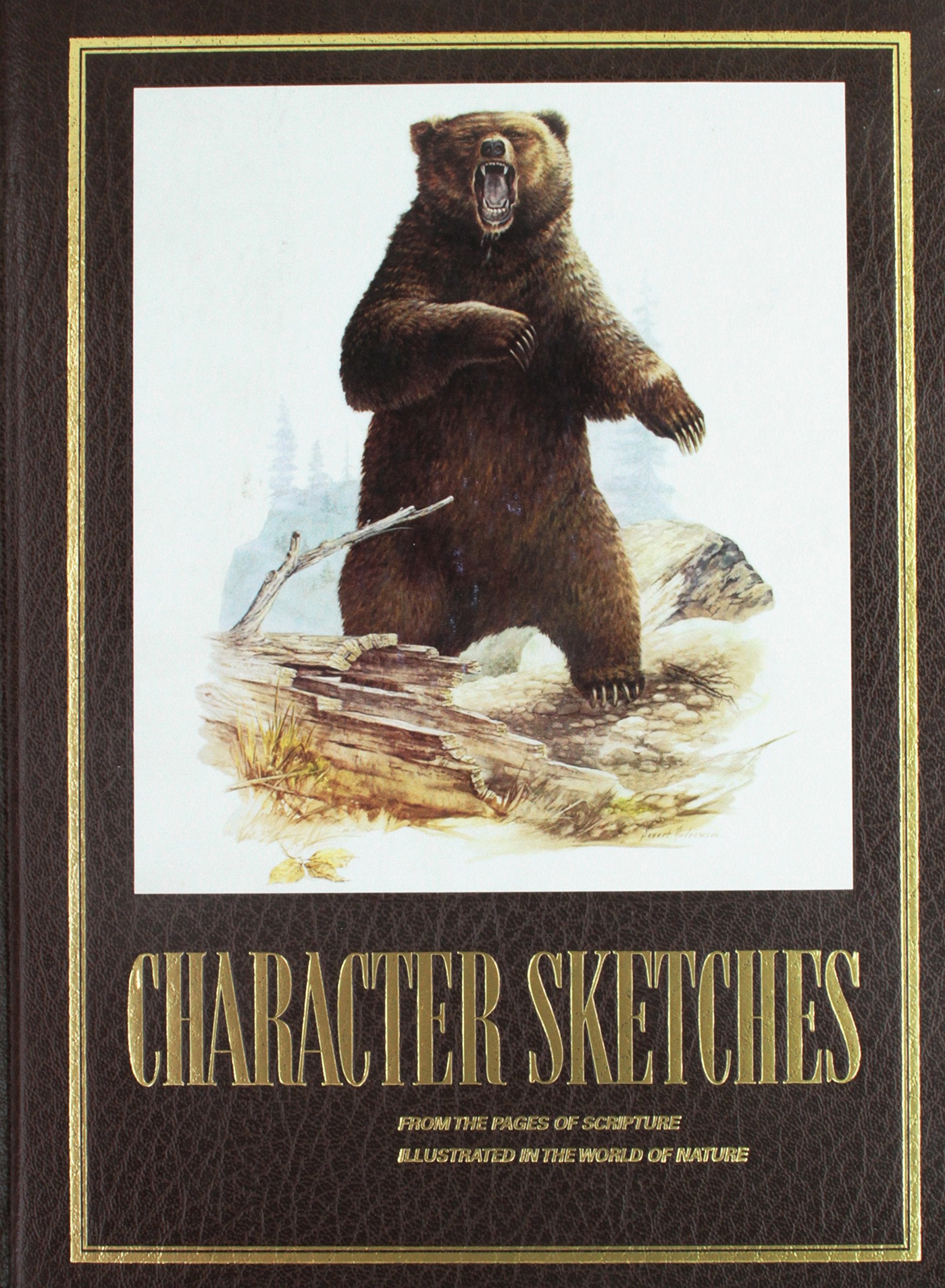 Character Sketches from the Pages of Scripture, Illustrated in the World of Nature, Vol. 1 Books
