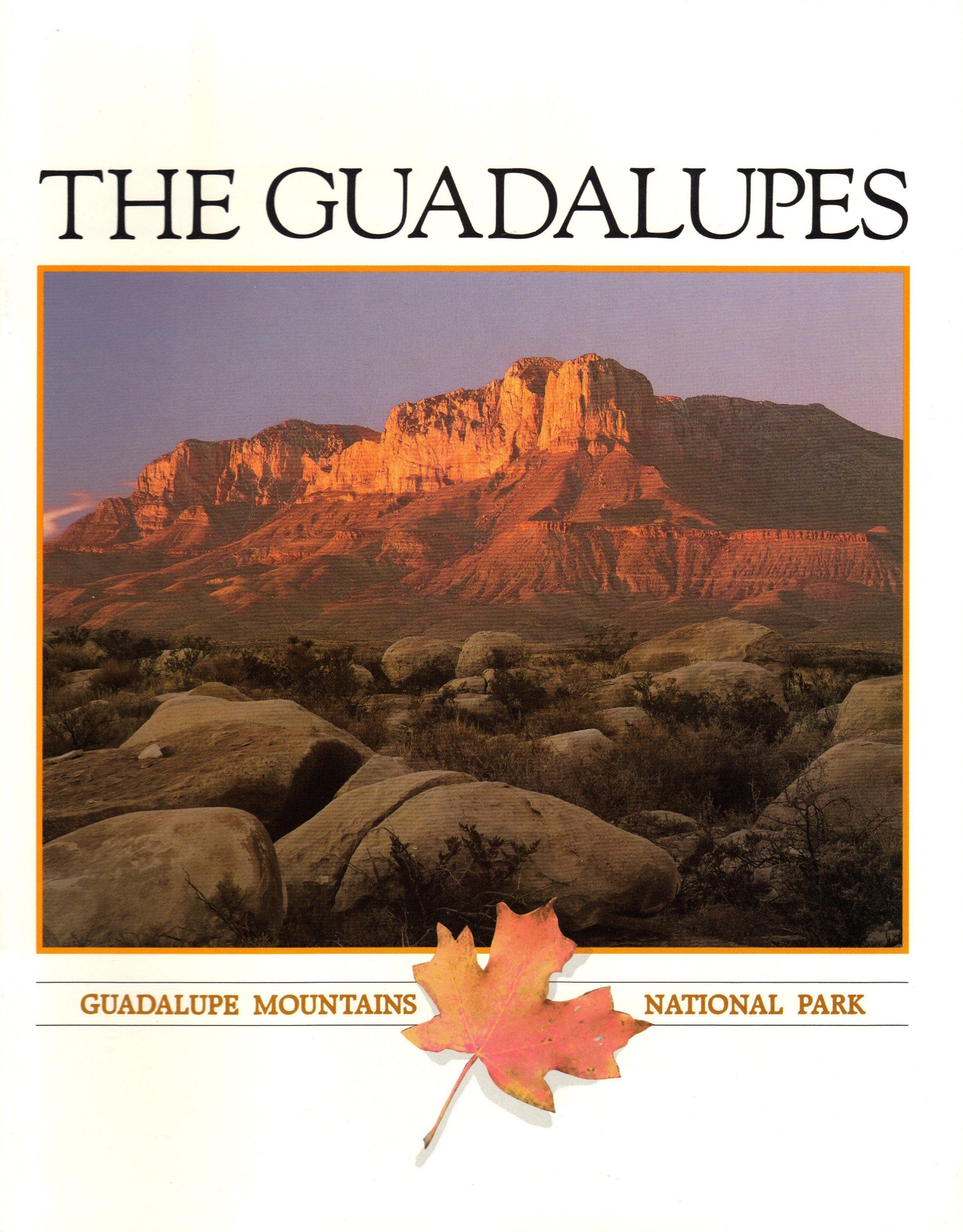 Product Image: Guadalupe Mountains National Park