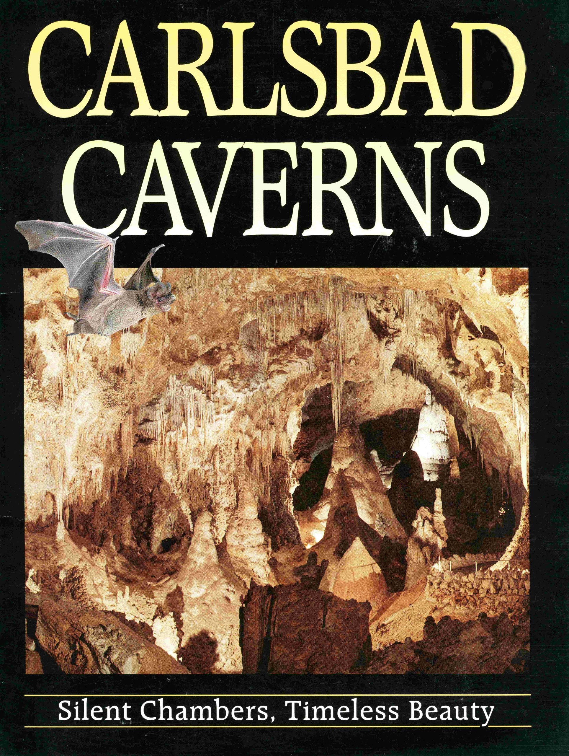 Carlsbad Caverns. National Park Carlsbad, New Mexico. Silent Chambers, Timeless Beauty Books