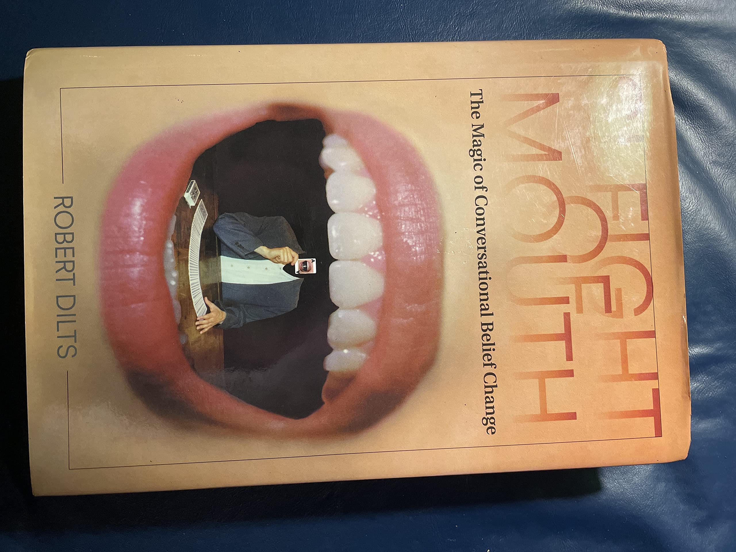 Slight of Mouth: The Magic of Conversational Belief Change book
