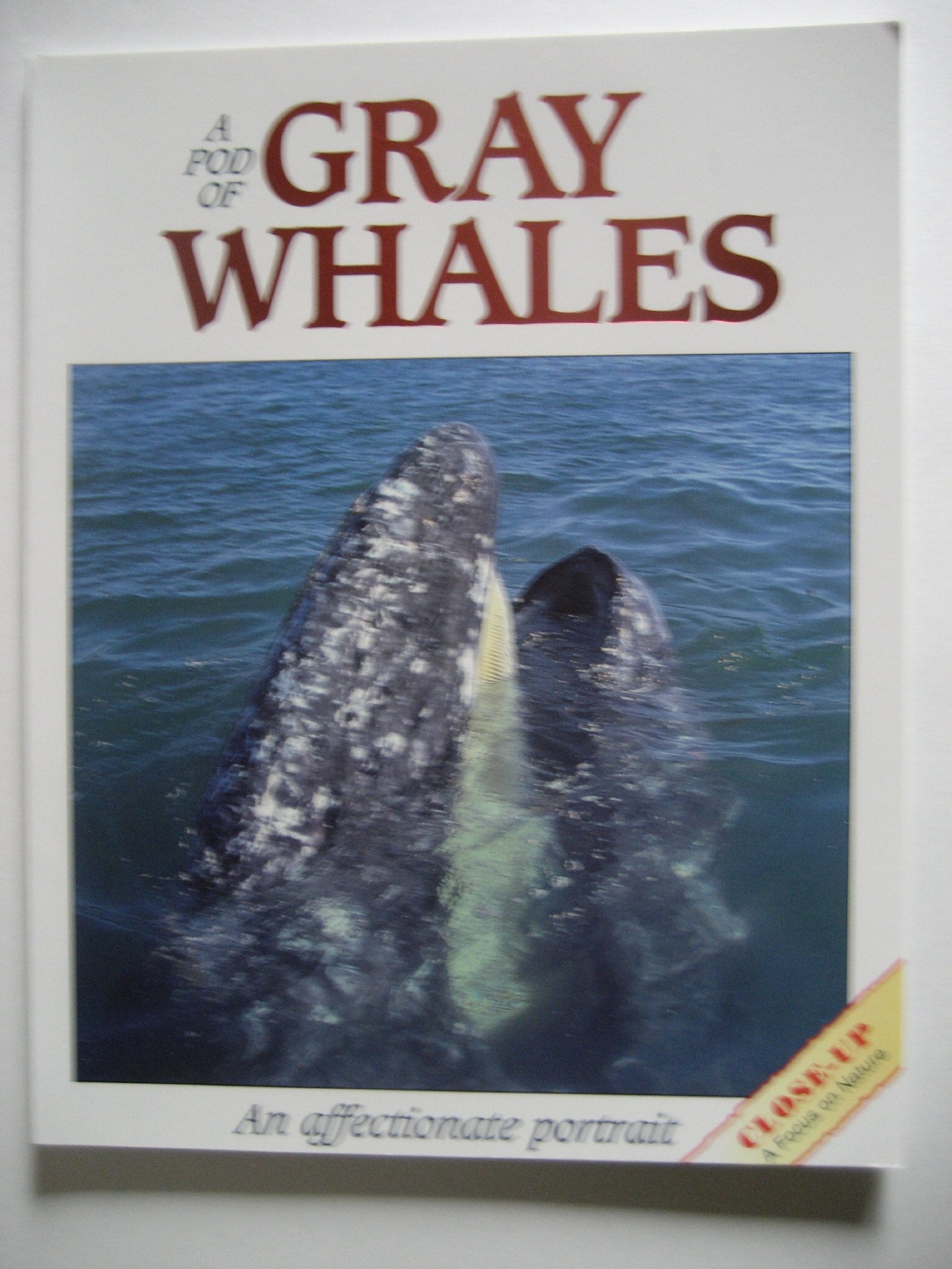 A Pod of Gray Whales book