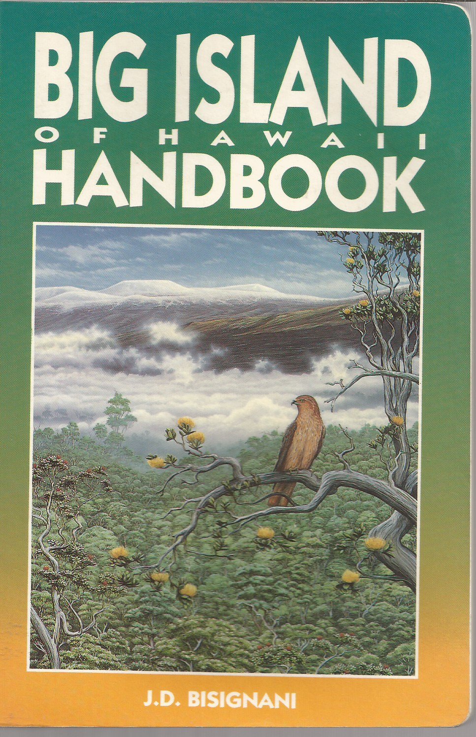 Big Island of Hawaii Handbook Leisure, Home & Garden