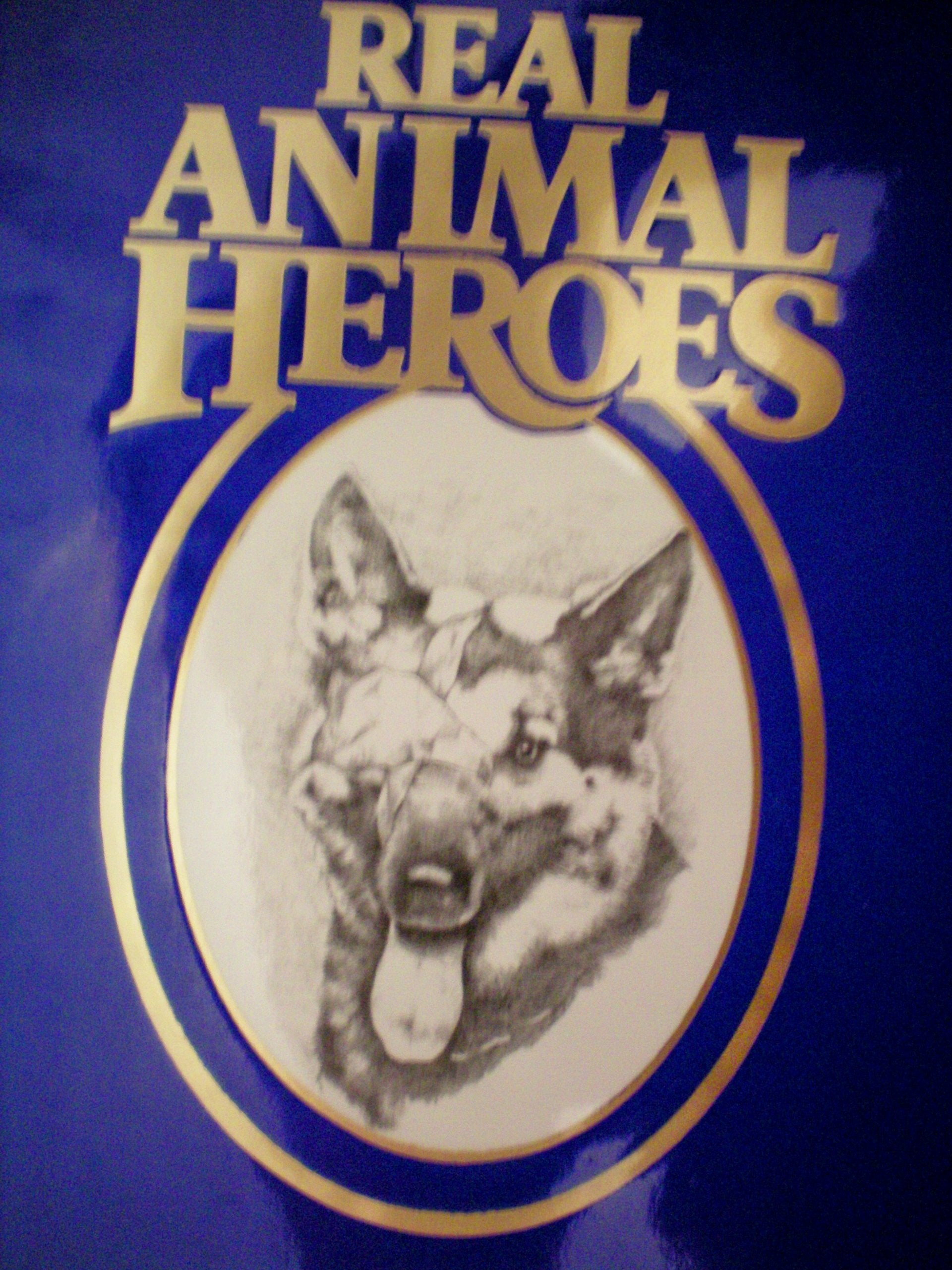 Real Animal Heroes: True Stories of Courage Devotion and Sacrifice book