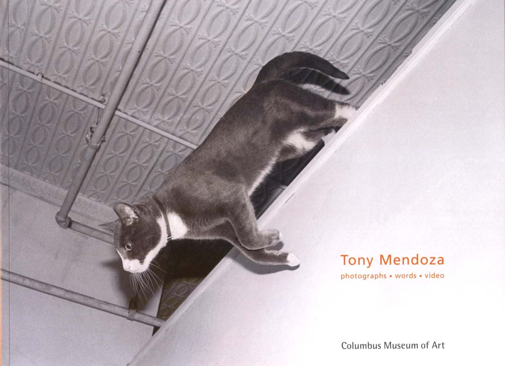 Tony Mendoza: Photographs, words, video by Mendoza, Tony Books