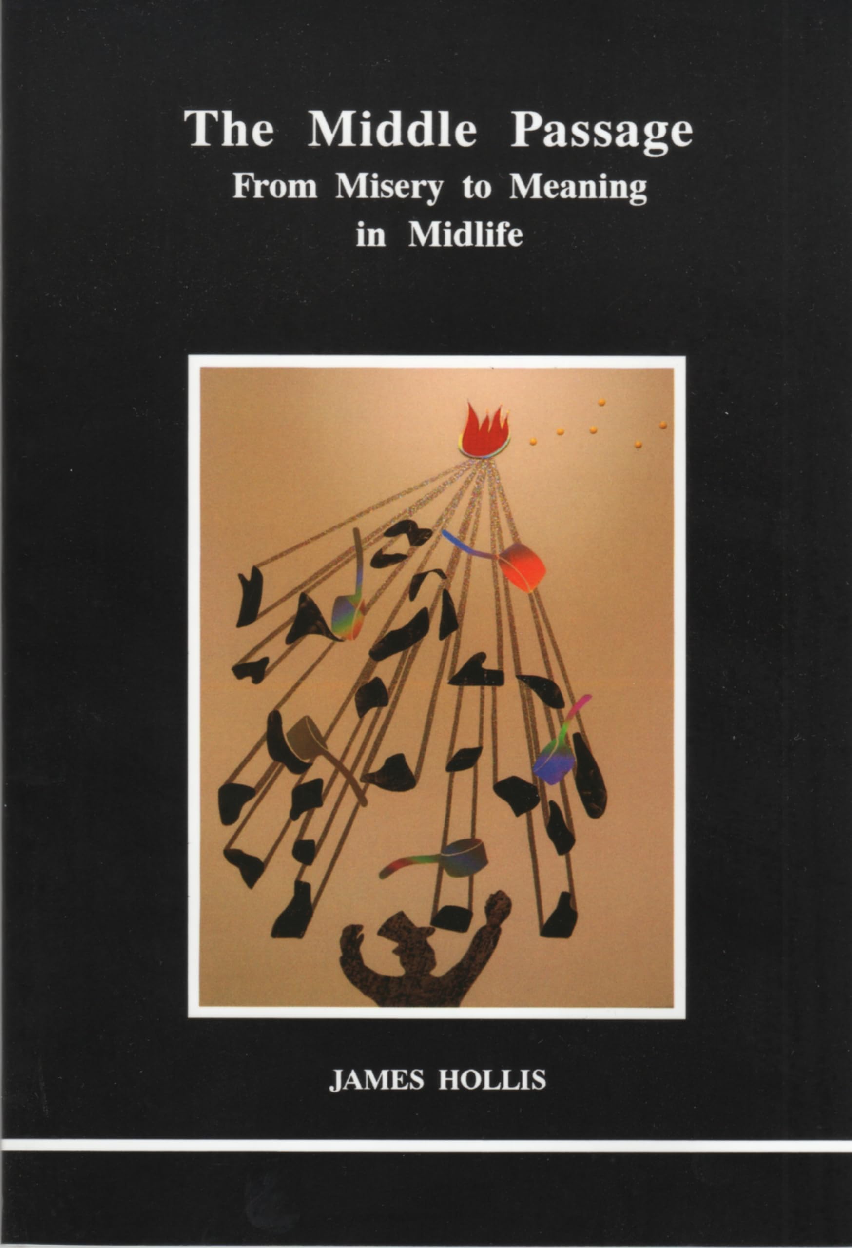 Product Image: The Middle Passage