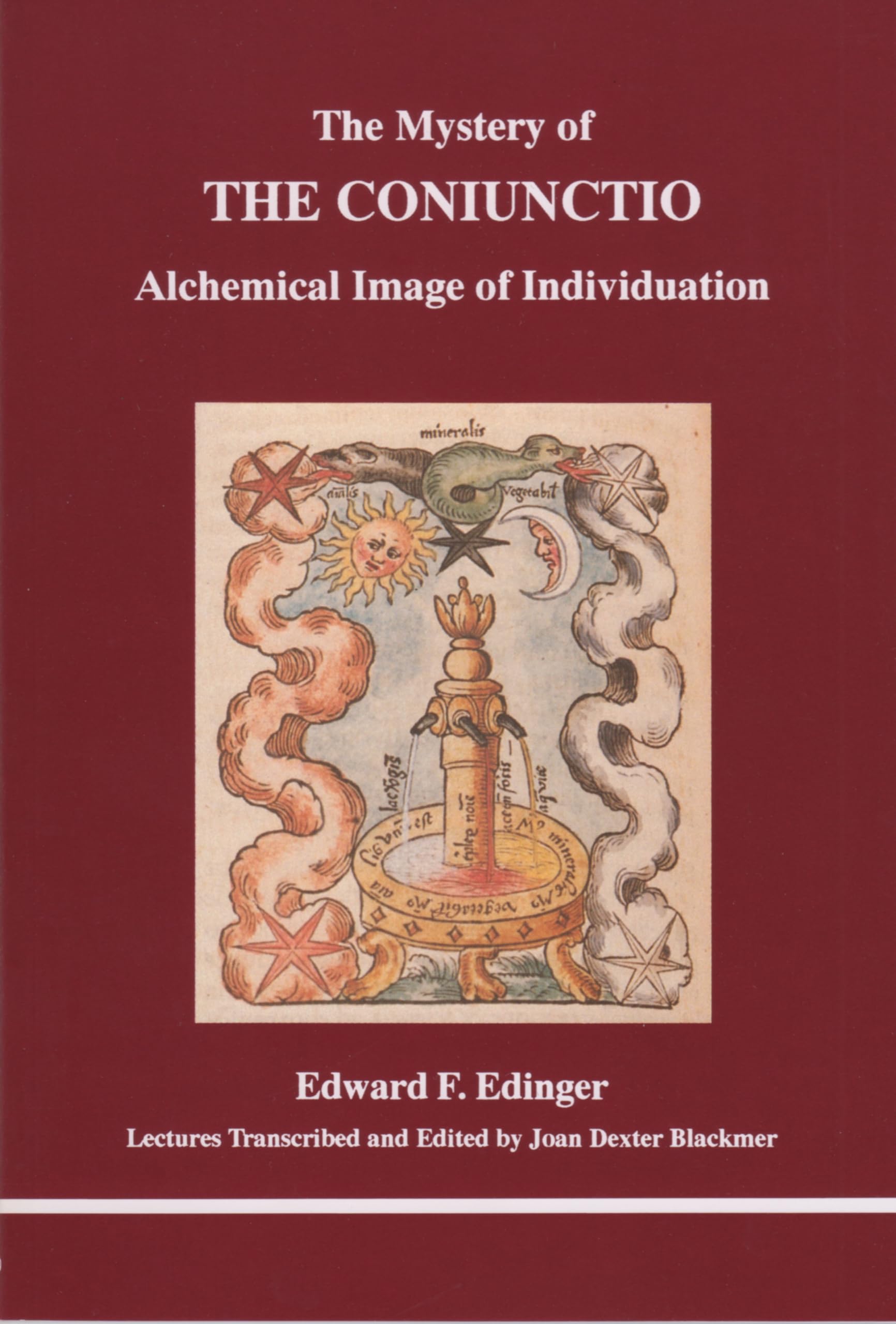 The Mystery of the Coniunctio book