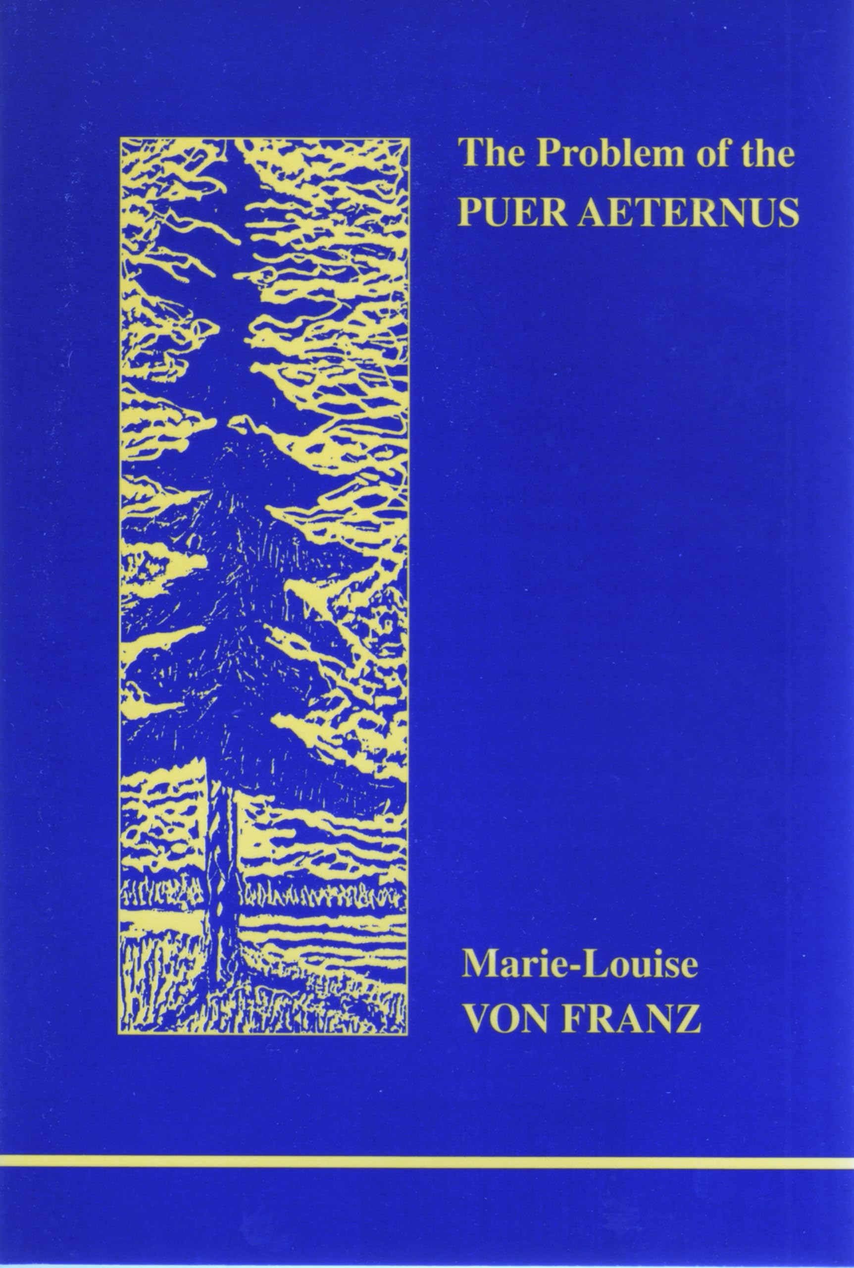The Problem of the Puer Aeternus Medicine