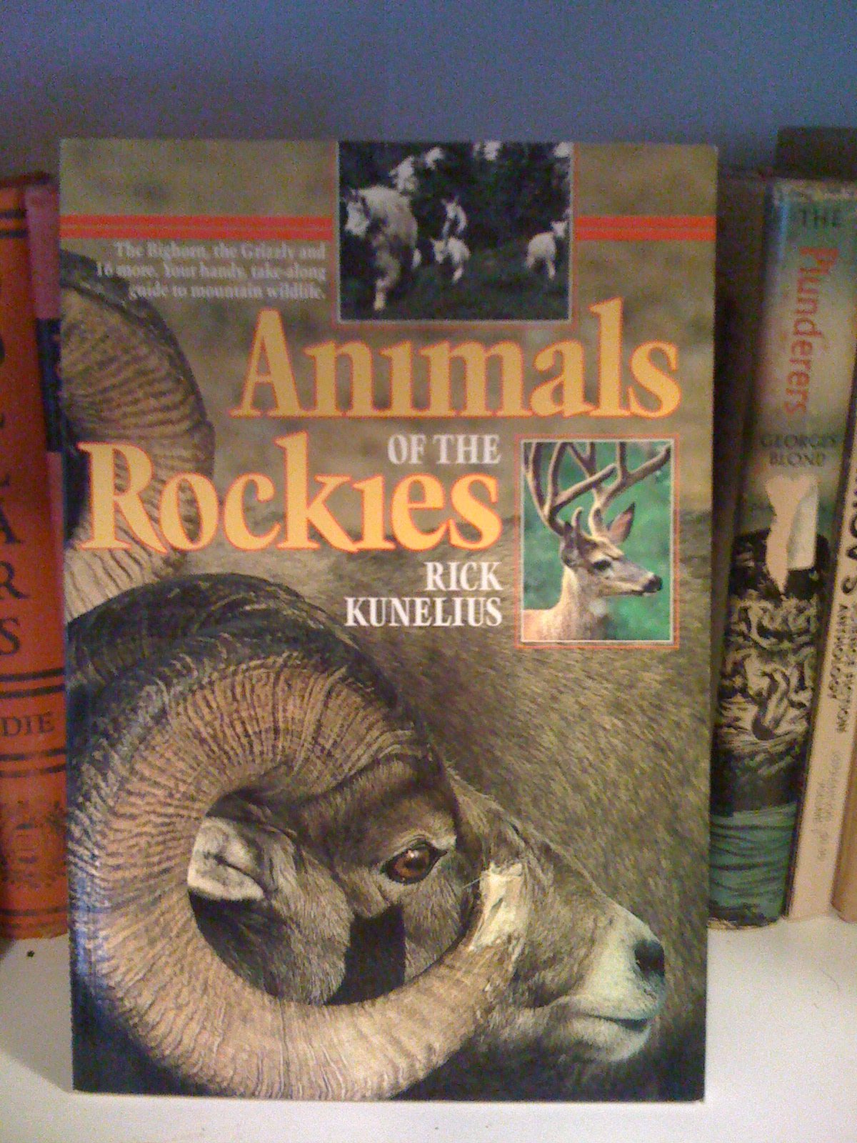 animals-of-the-rockies Books