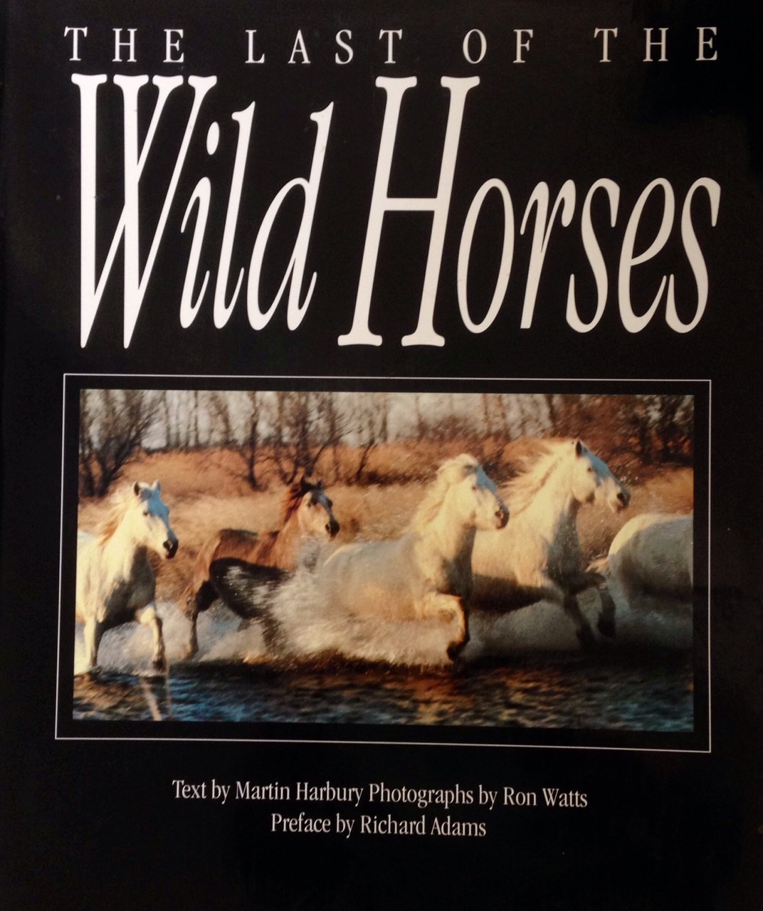 The Last of the Wild Horses book
